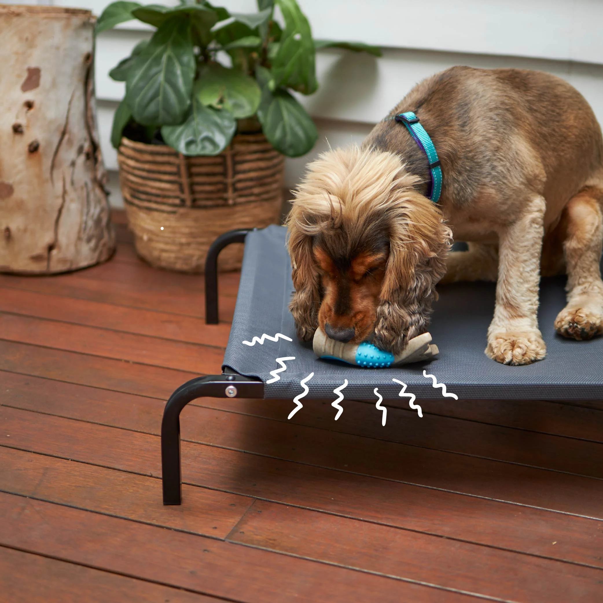 Tough N' Tasty Chew Tail - Milk - Image 7