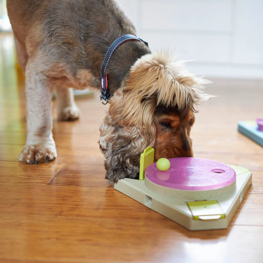Triangle Turn Interactive Puzzle Play Dog Toy - Image 3