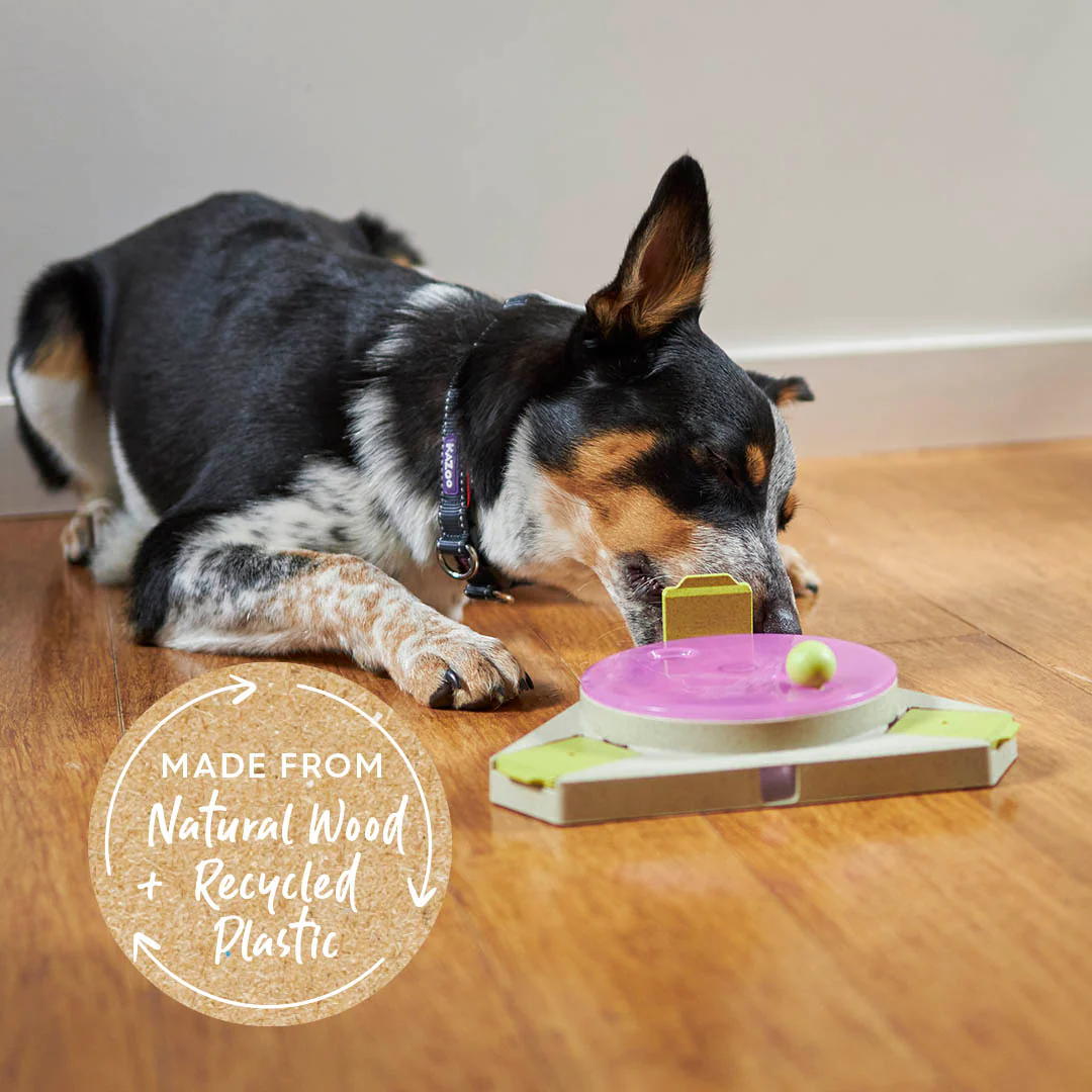 Triangle Turn Interactive Puzzle Play Dog Toy - Image 5