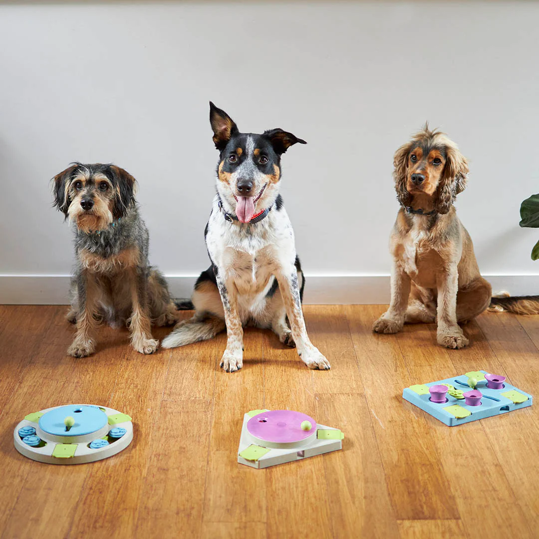 Triangle Turn Interactive Puzzle Play Dog Toy - Image 6