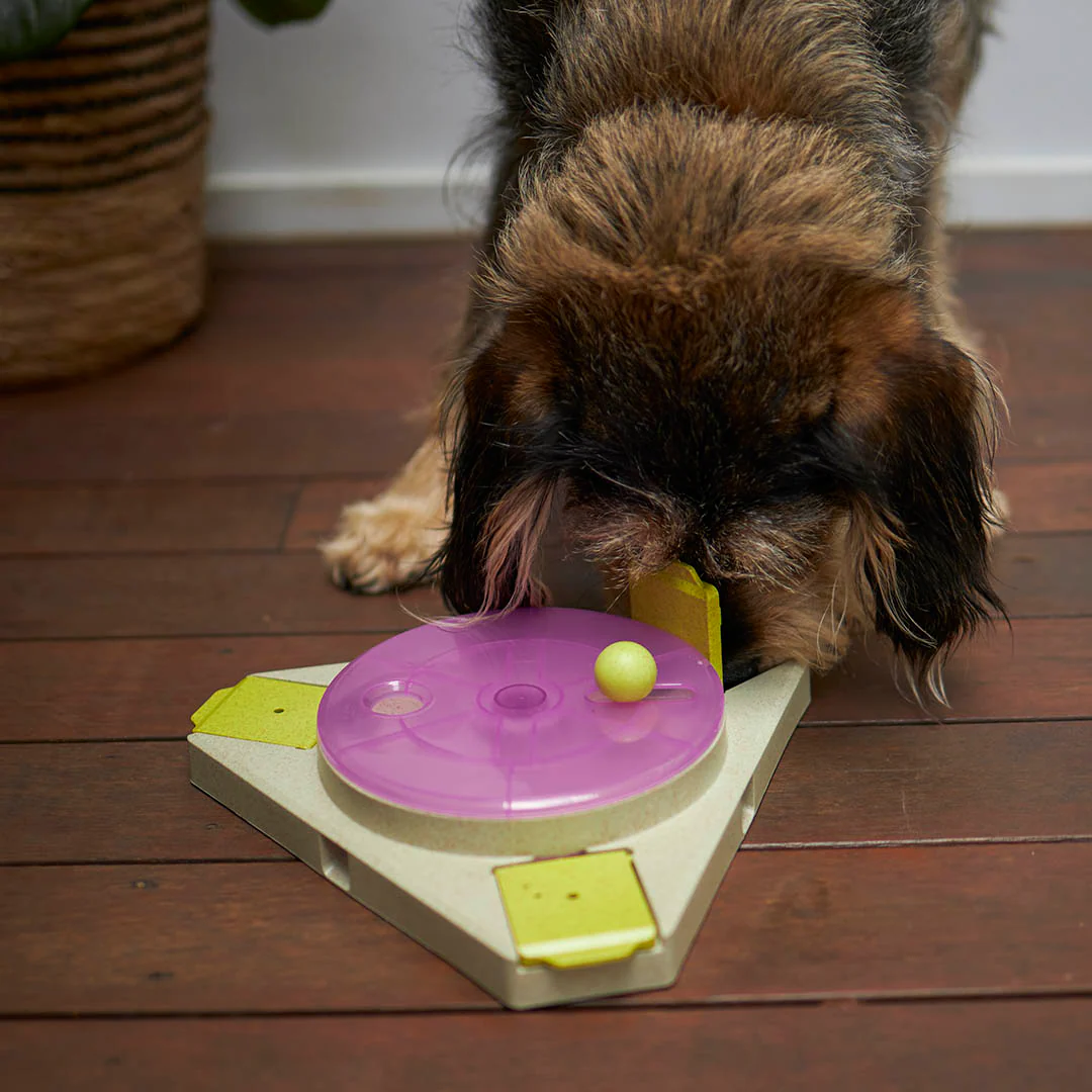 Triangle Turn Interactive Puzzle Play Dog Toy - Image 9