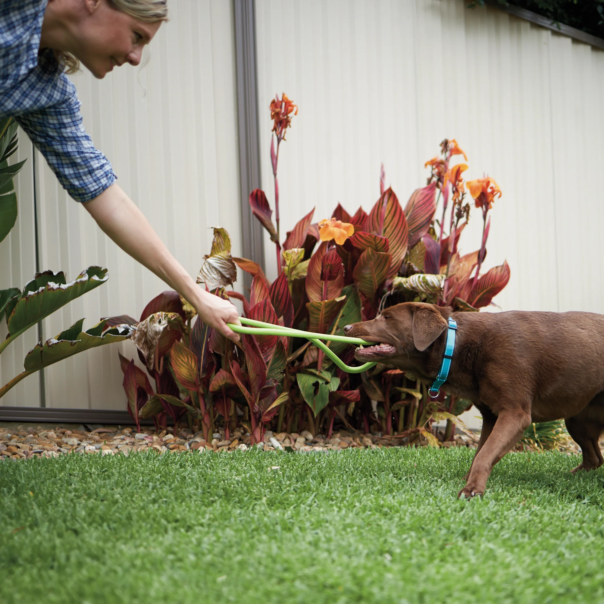 Tug O War Rubber Dog Toy - Image 11