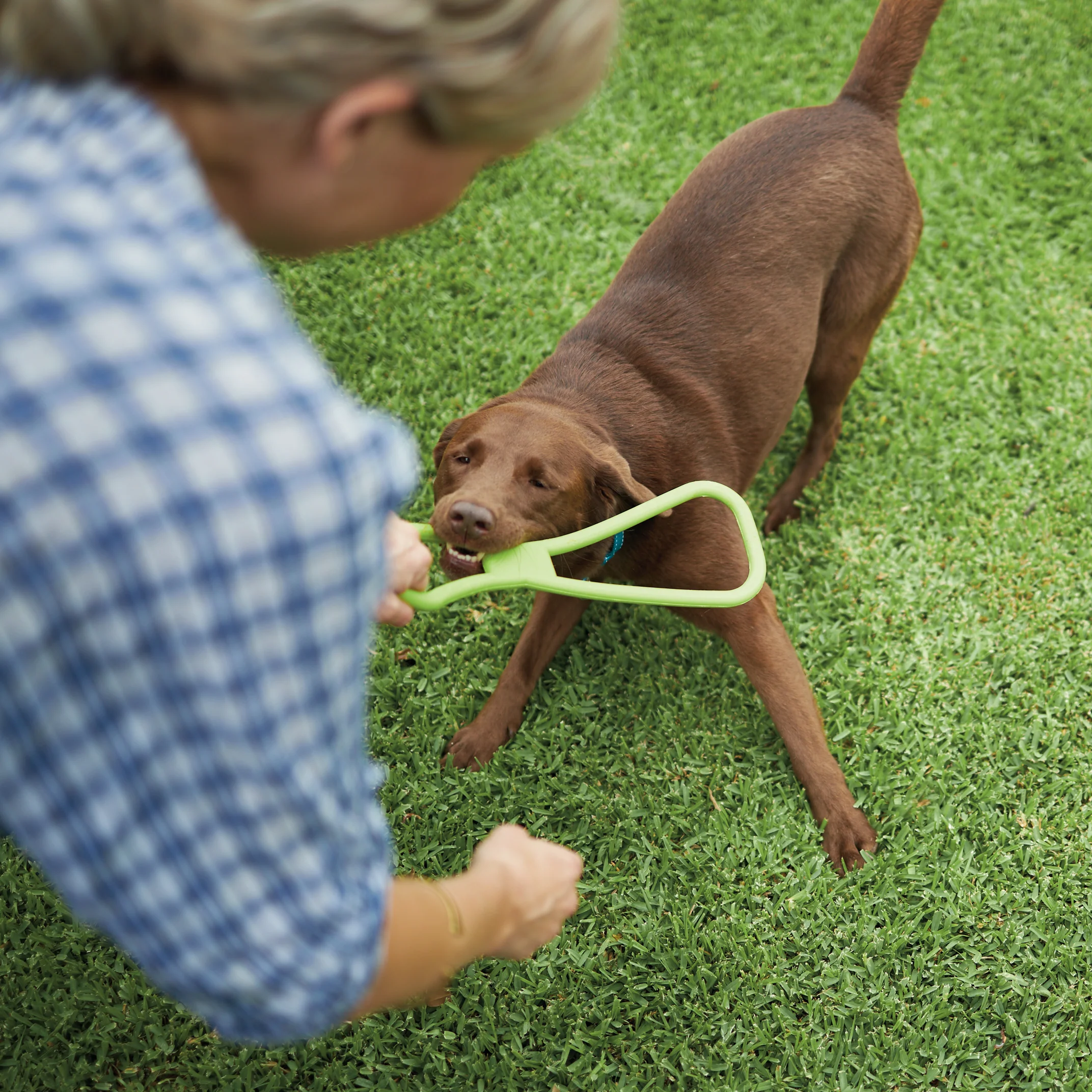Tug O War Rubber Dog Toy - Image 8
