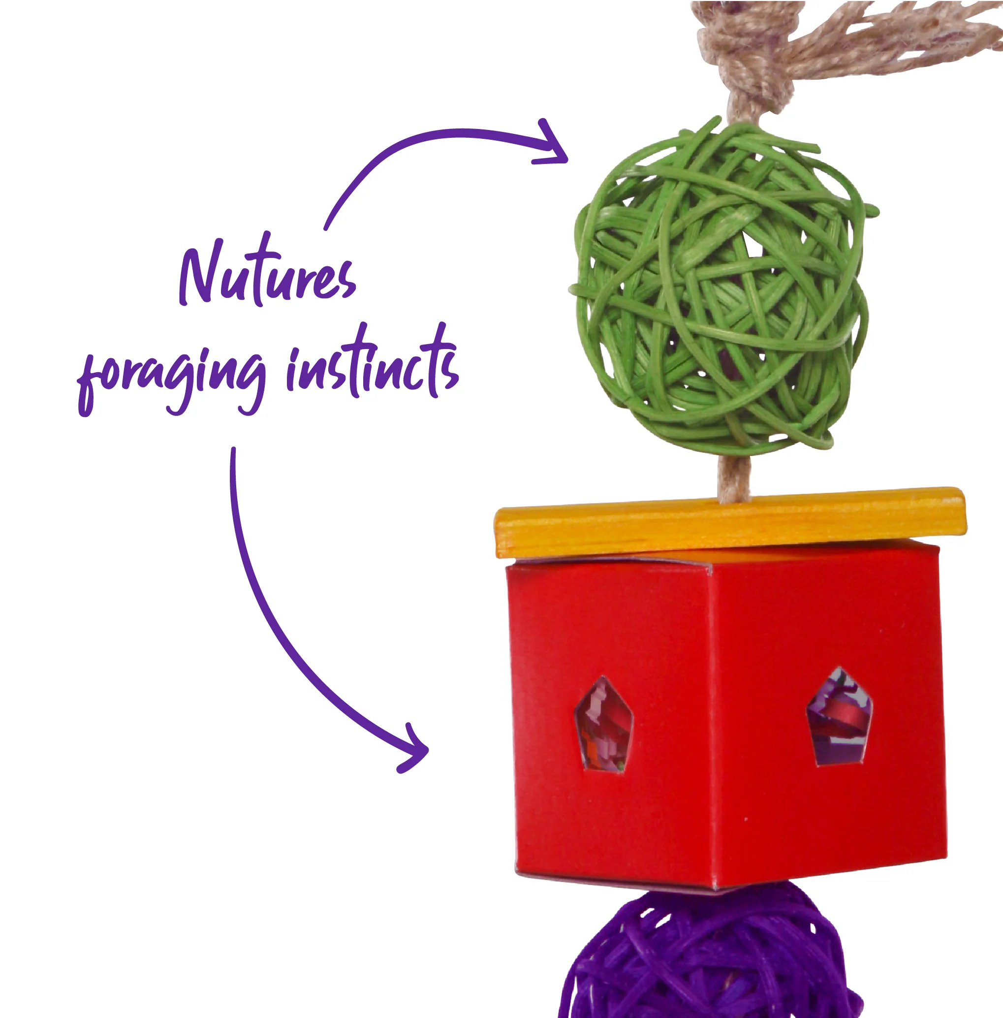 Twin Ball & Cardboard Foraging Toy Bird Toy - Image 3