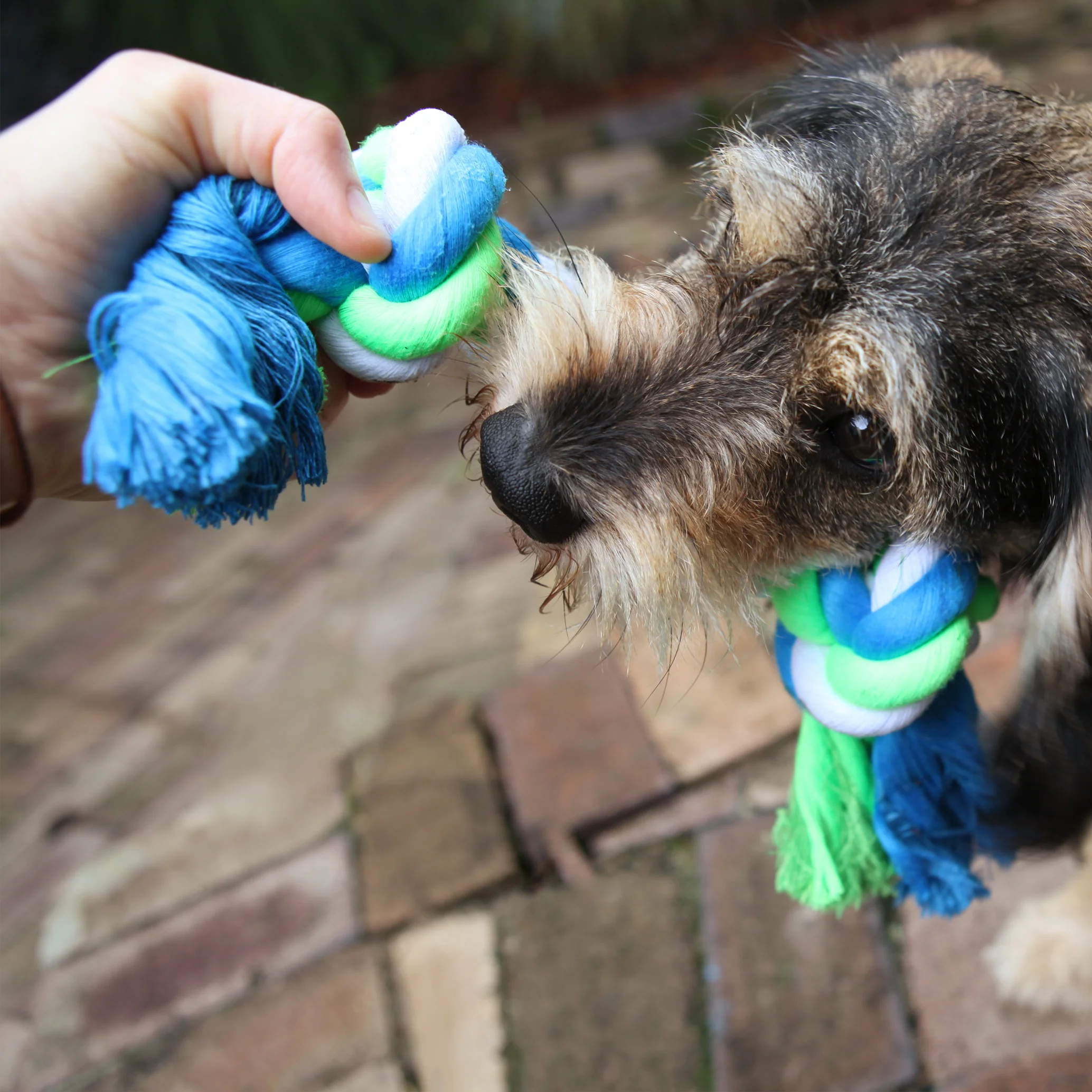 Twisted Rope Knot Bone Dog Toy - Image 7