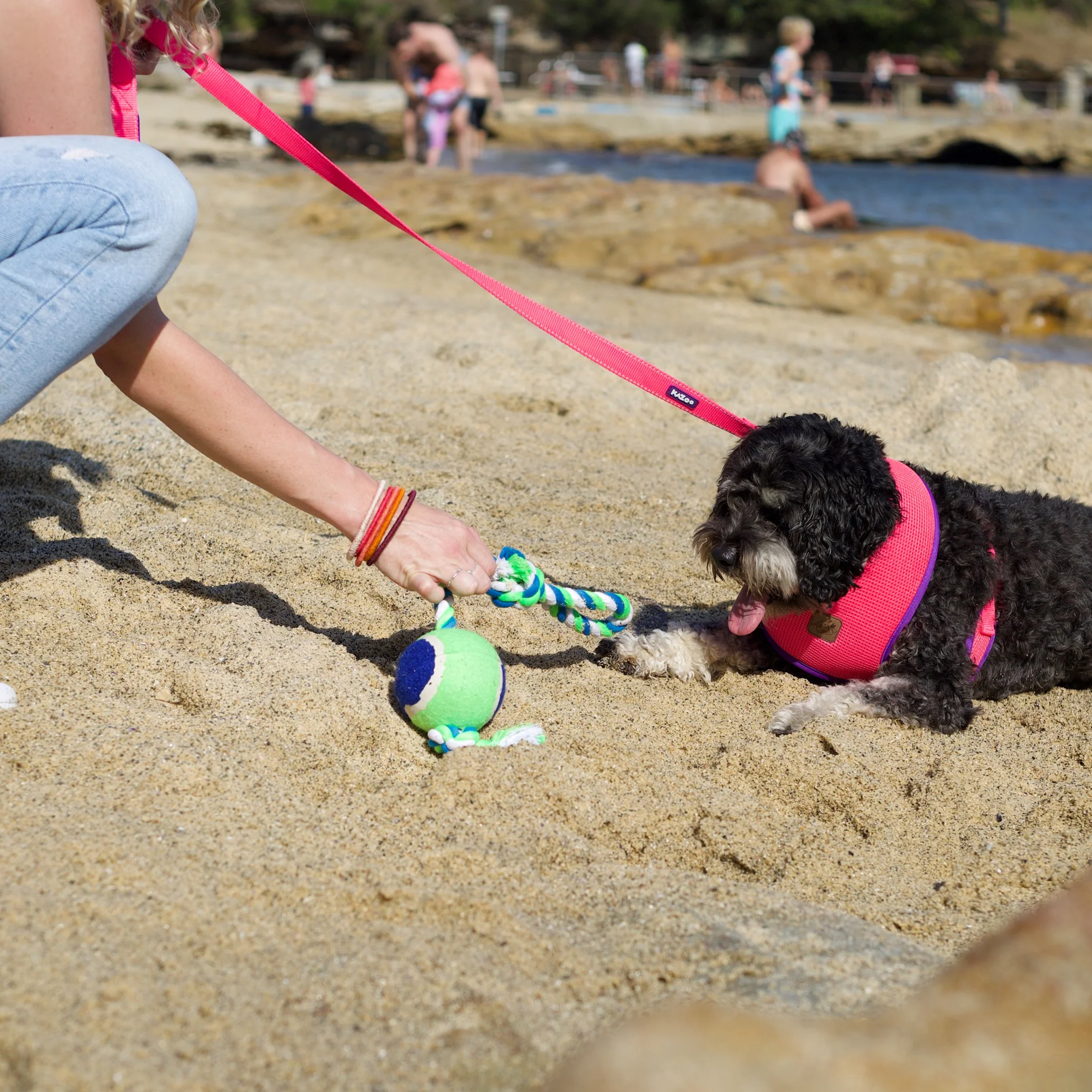 Twisted Rope Sling Tennis Ball Dog Toy - Image 5