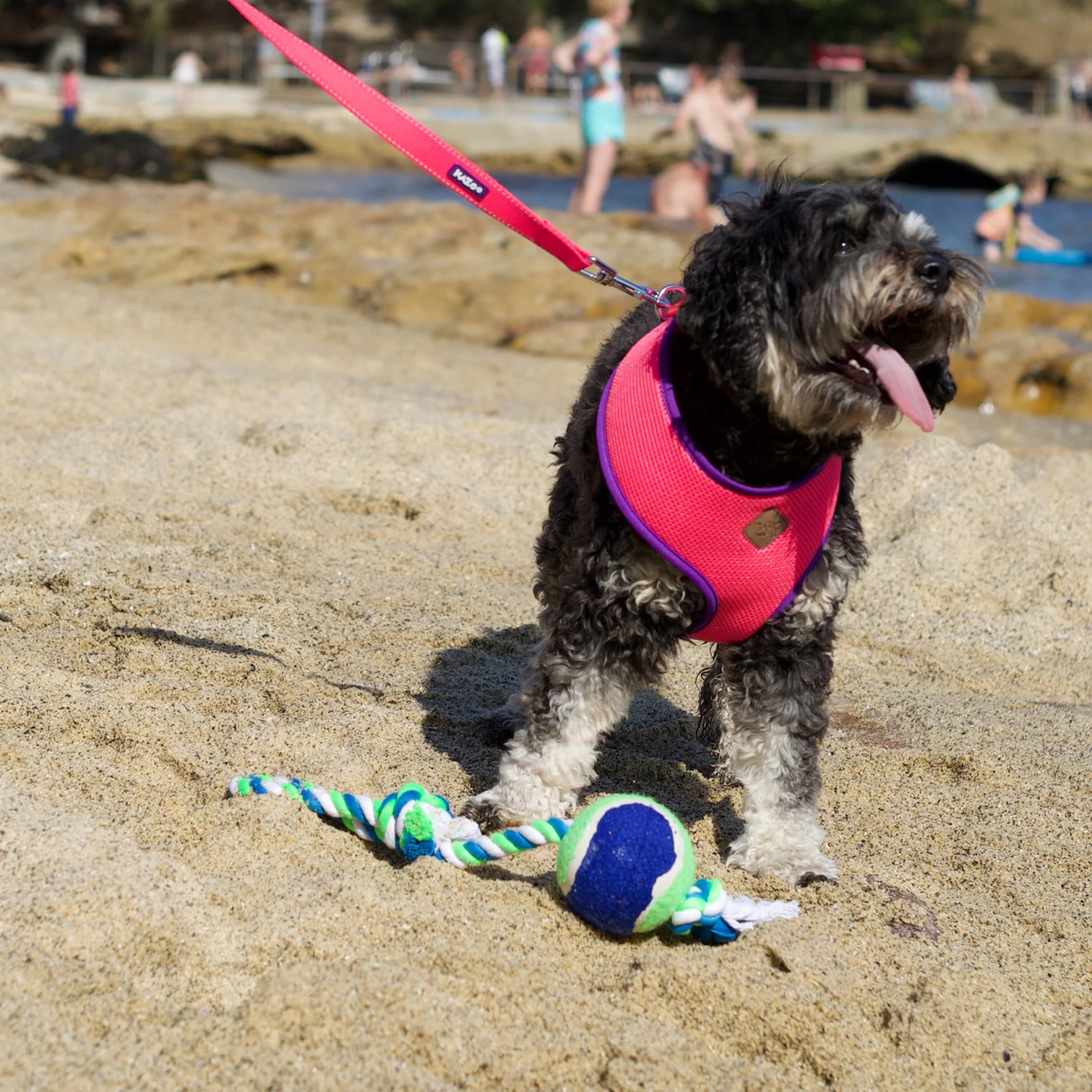 Twisted Rope Sling Tennis Ball Dog Toy - Image 6
