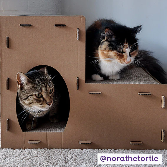 Two Story Kitty Villa - Image 2
