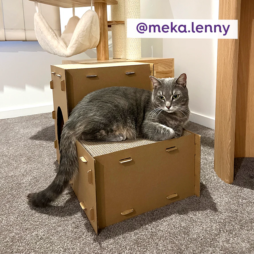 Two Story Kitty Villa - Image 3