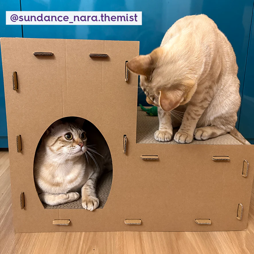 Two Story Kitty Villa - Image 4