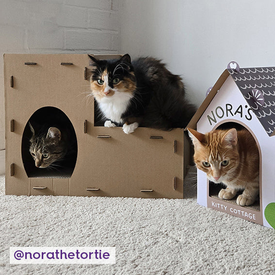 Two Story Kitty Villa - Image 5