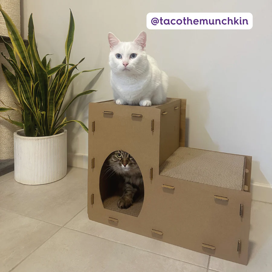Two Story Kitty Villa - Image 6