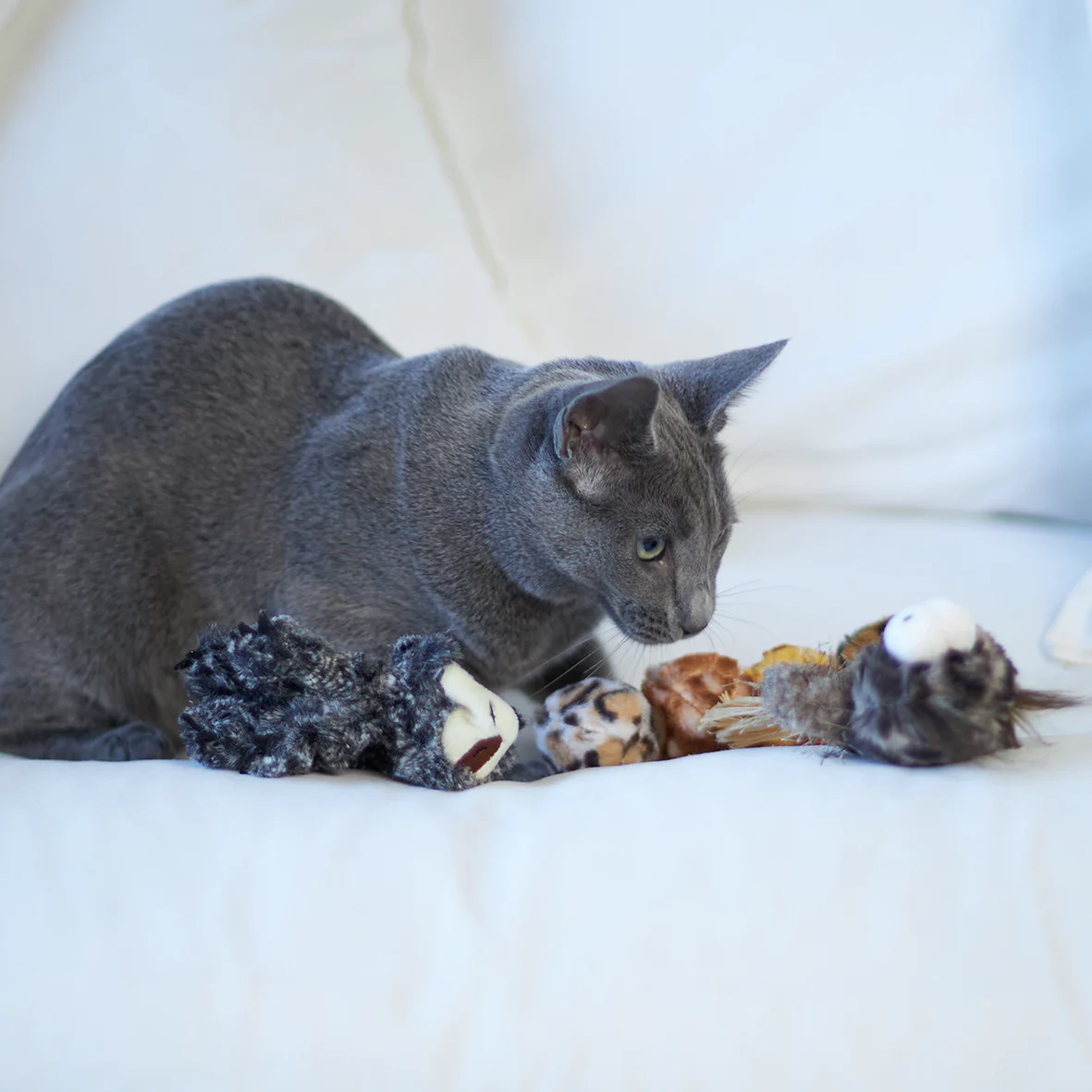 Velcro Worm with catnip and velcro balls - Image 10