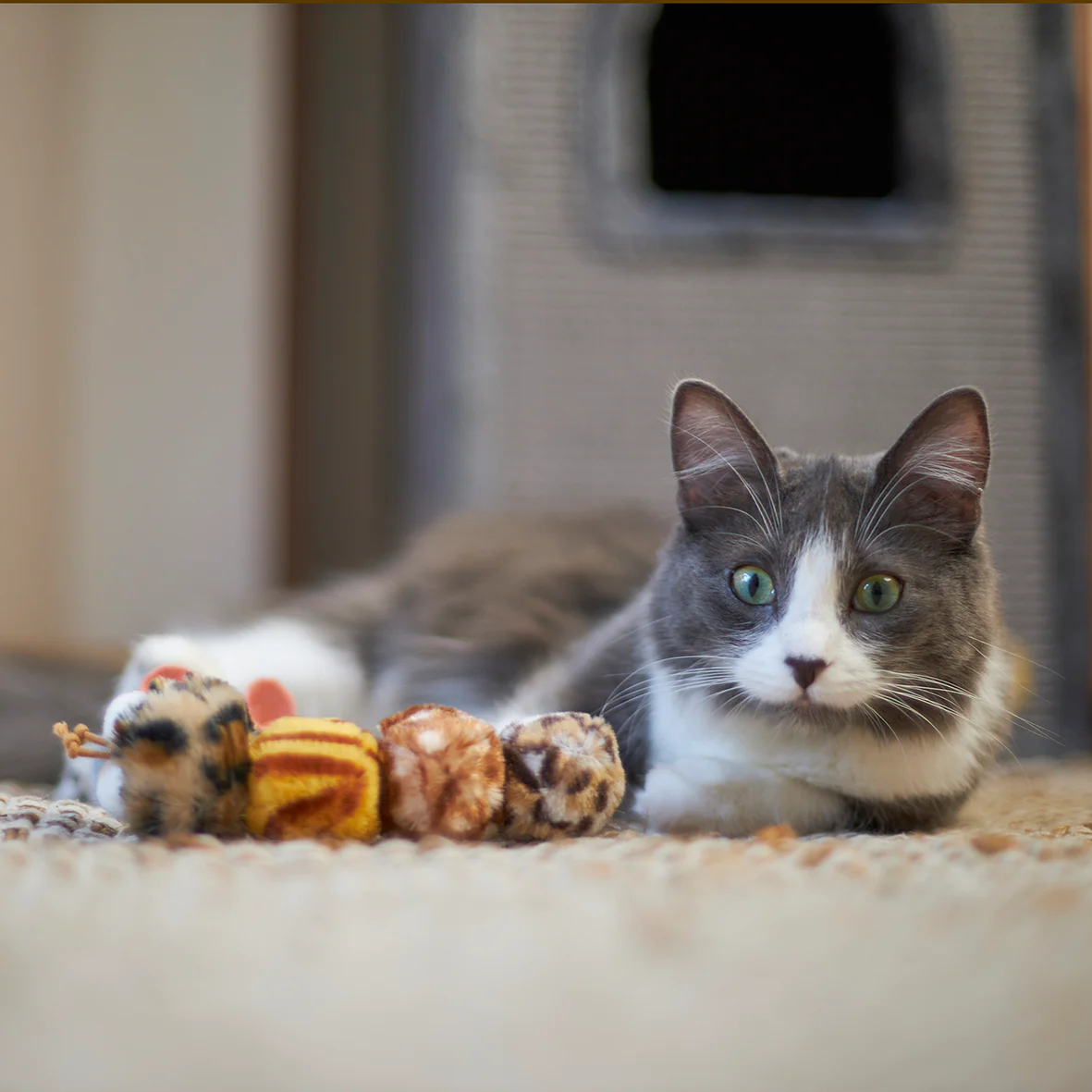 Velcro Worm with catnip and velcro balls - Image 2