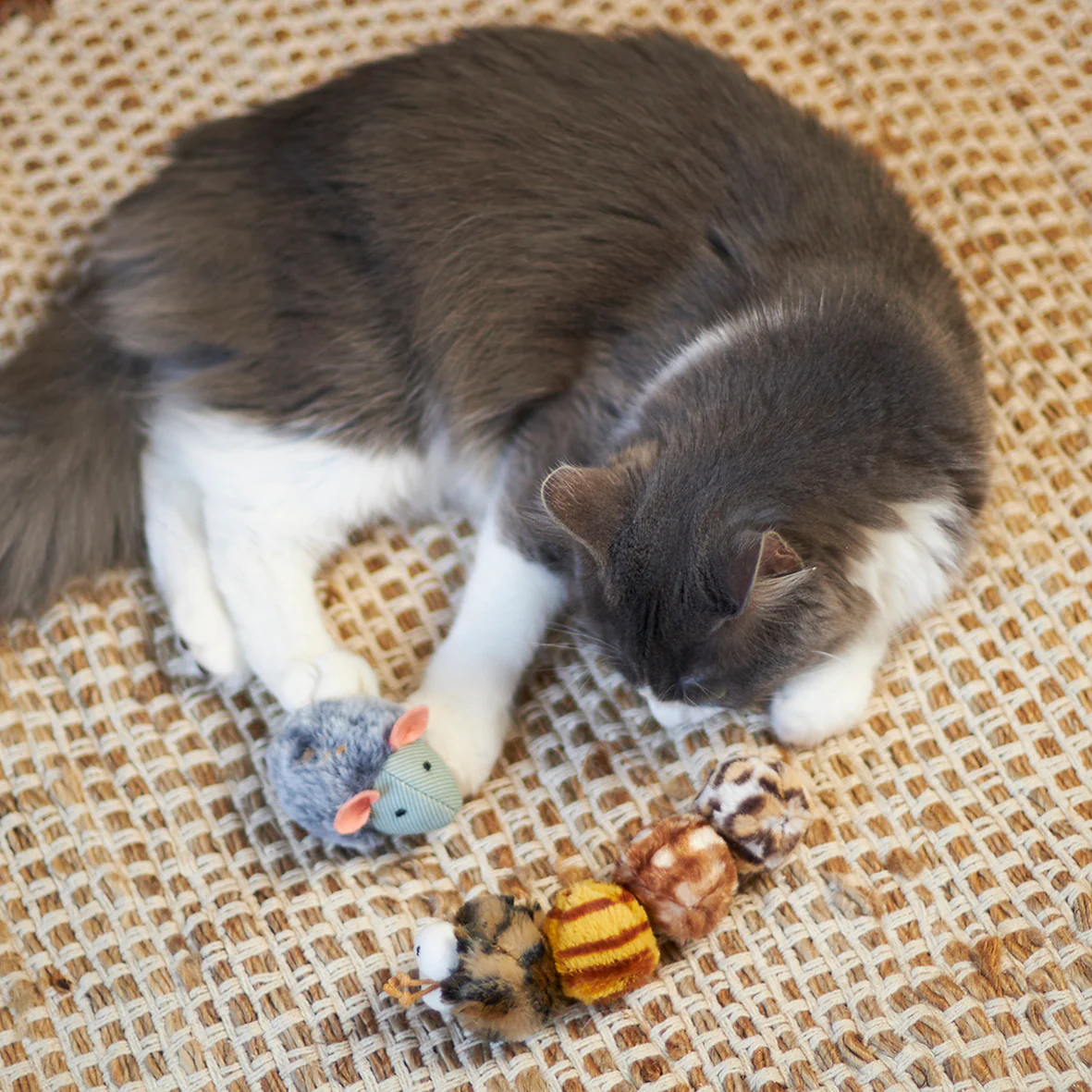 Velcro Worm with catnip and velcro balls - Image 3
