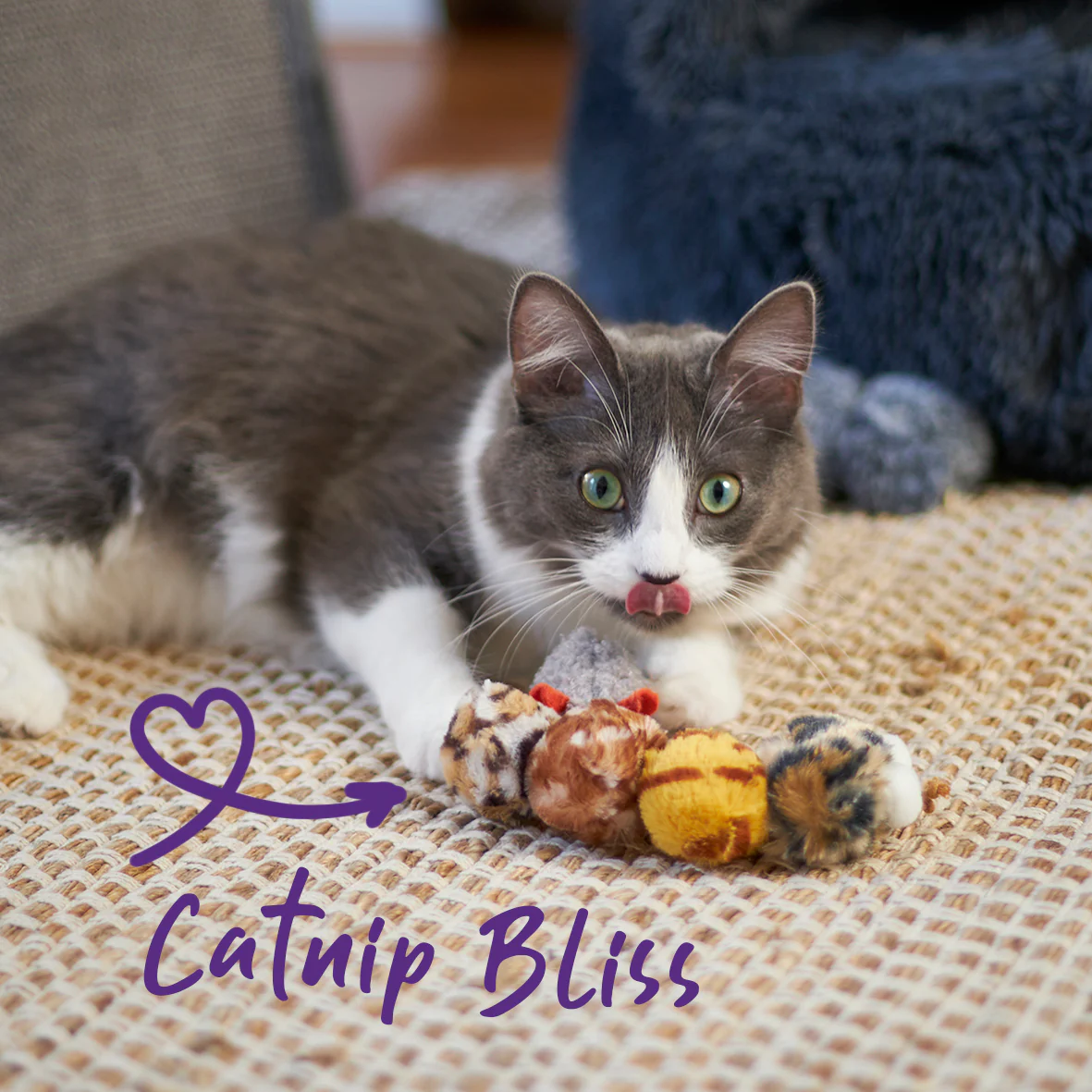 Velcro Worm with catnip and velcro balls - Image 8