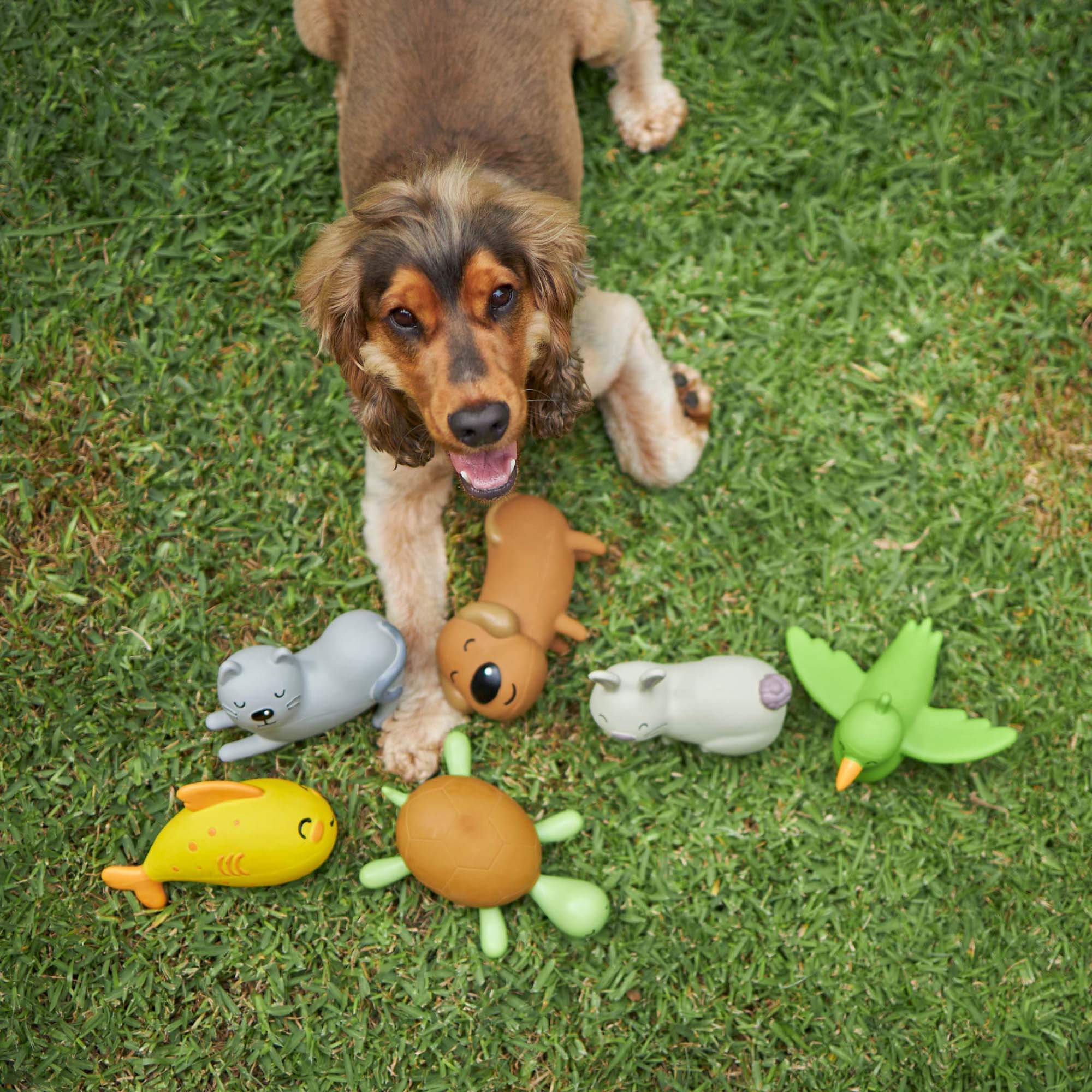 Vivi the Bunny - Medium Squeaky Dog Toy - Image 3