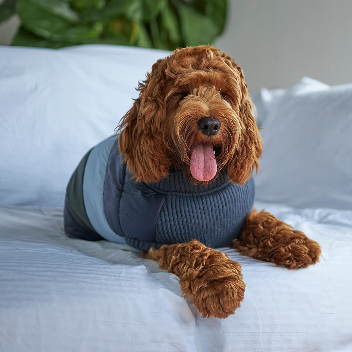 Vovo Dog Puffer Jacket - Seabreeze - Image 5