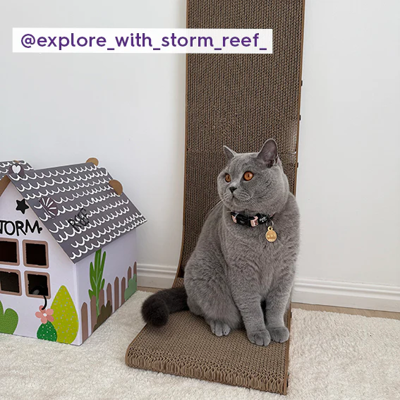 Wall & Ball Vertical Cat Scratch Pad - Image 3