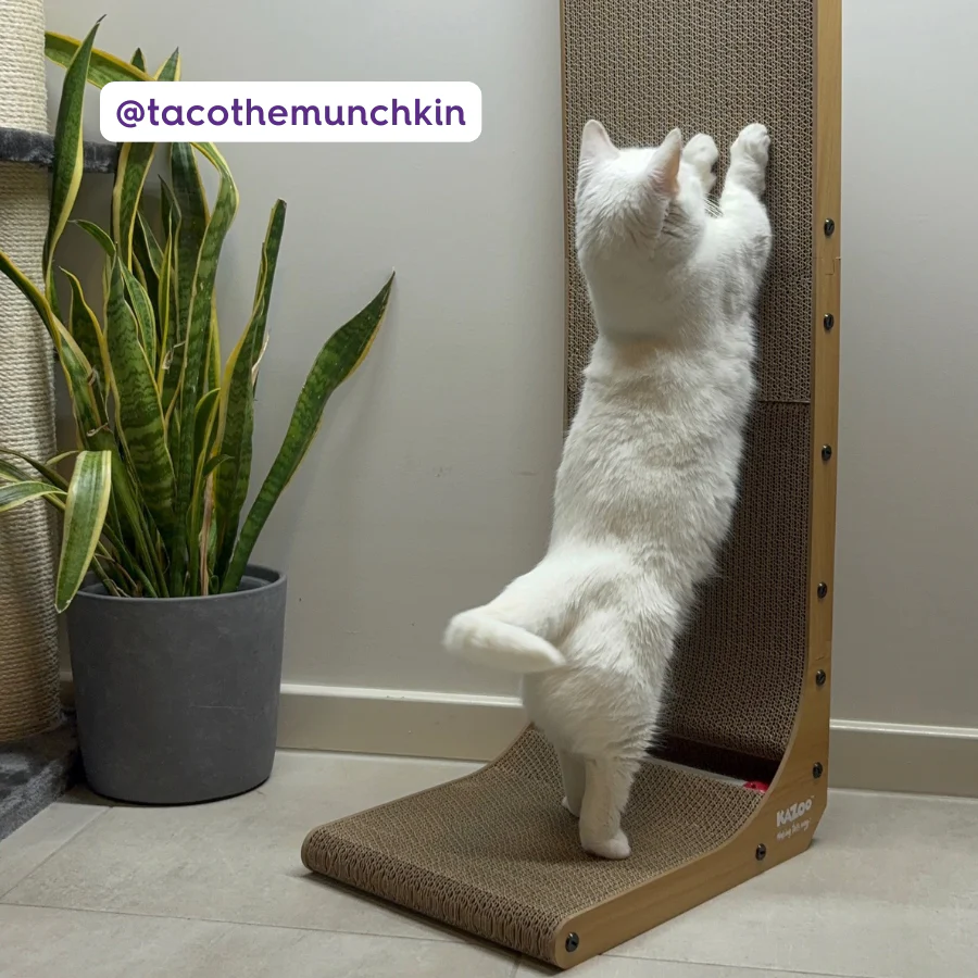 Wall & Ball Vertical Cat Scratch Pad - Image 6