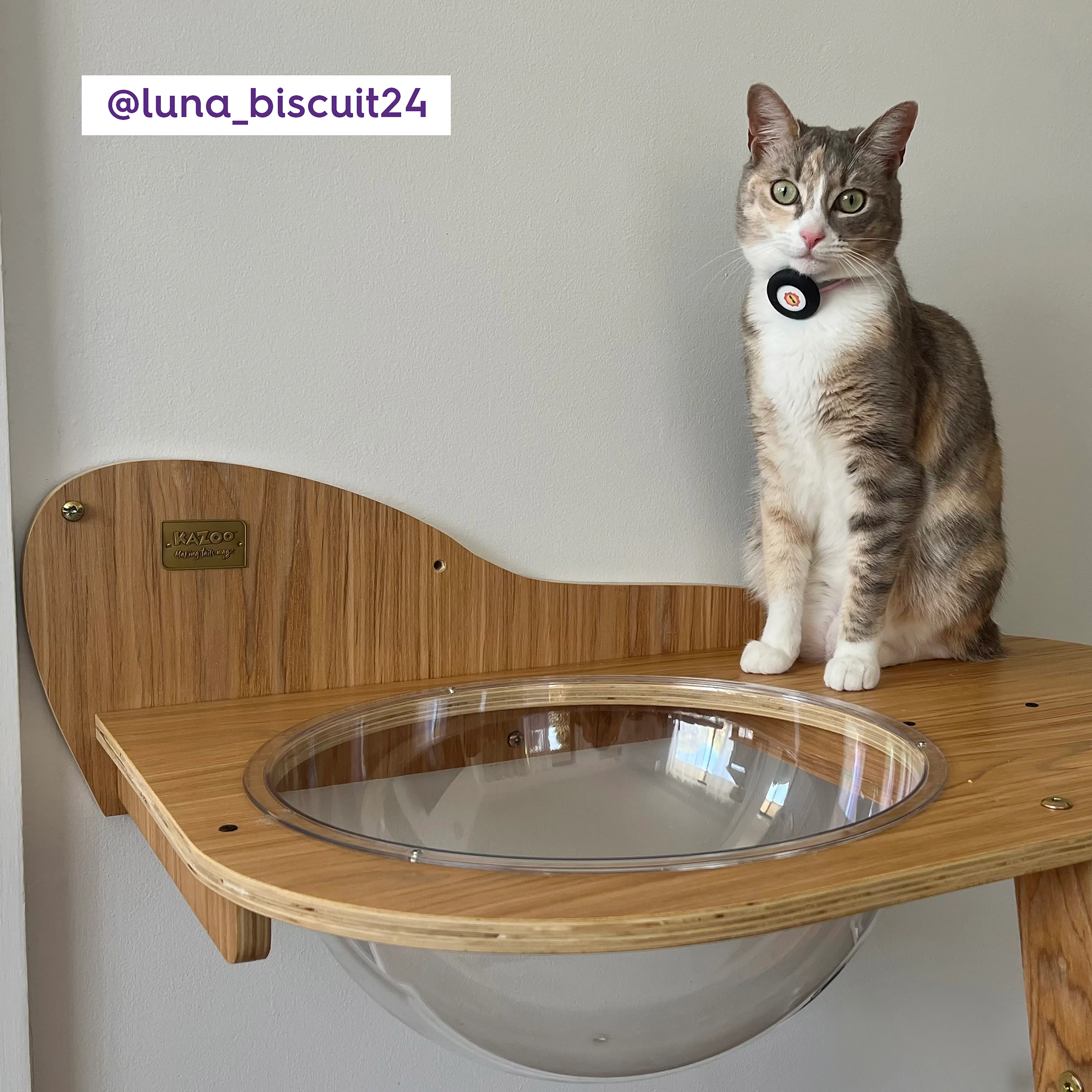 Wall Mounted Woodland Cat Loft - Image 4