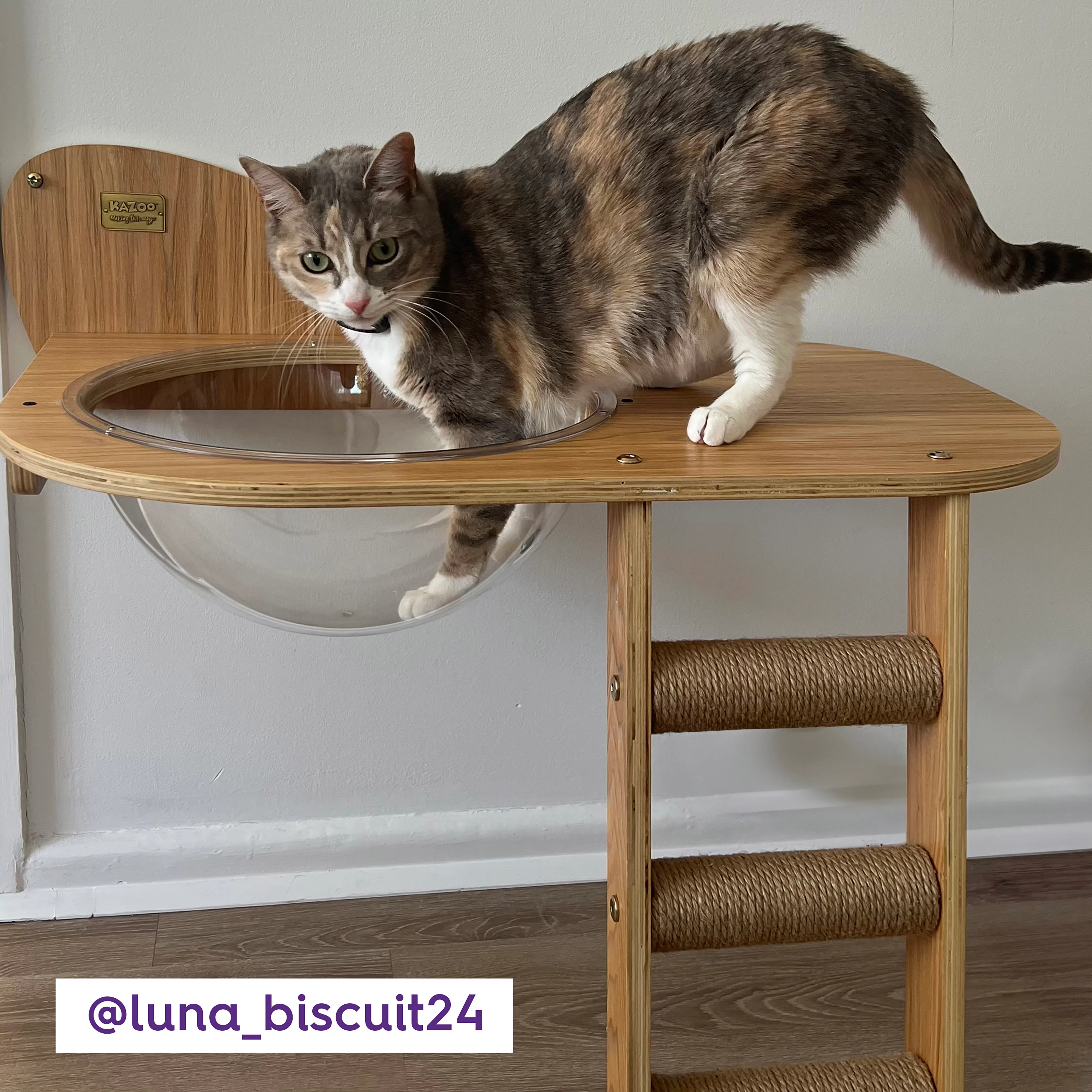 Wall Mounted Woodland Cat Loft - Image 7