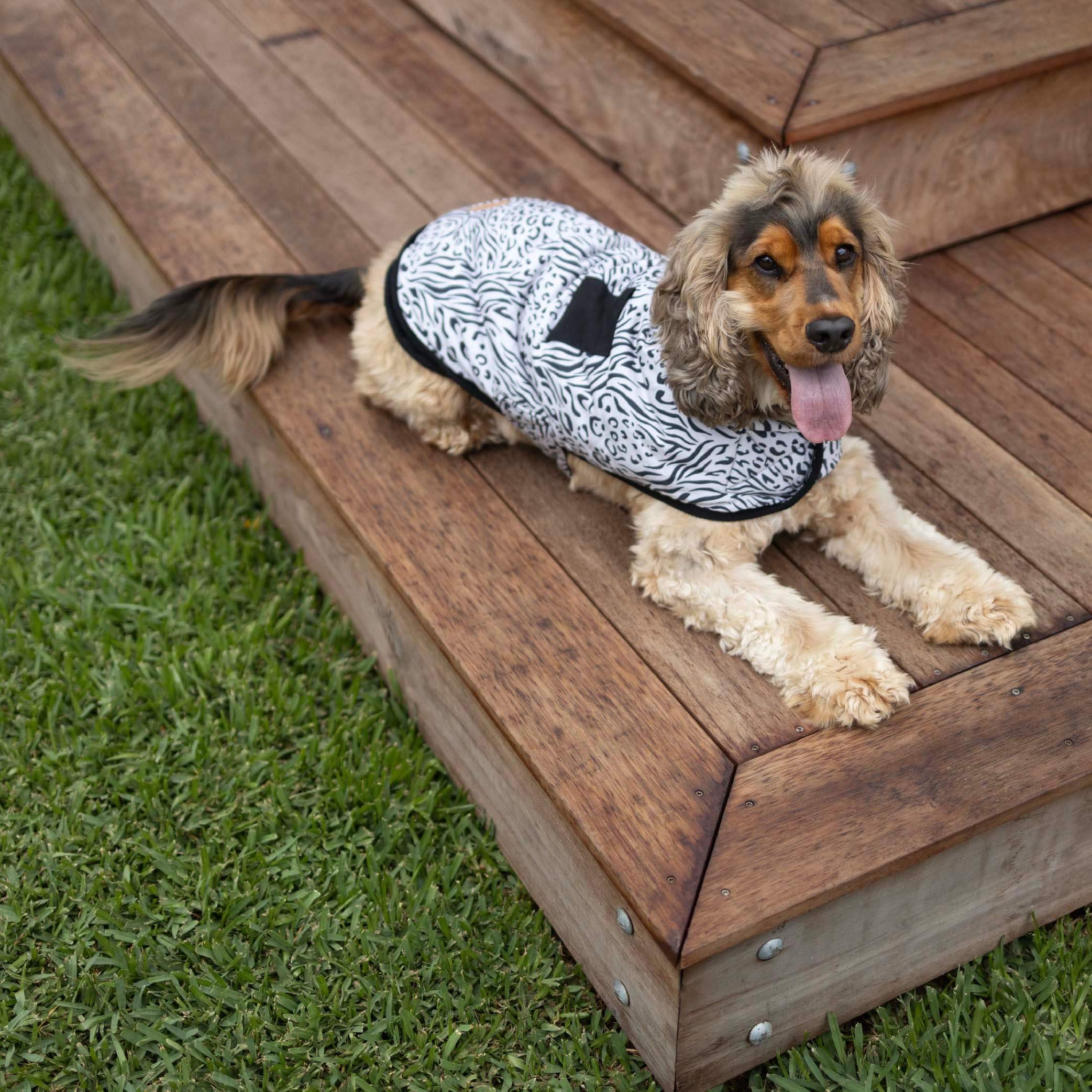 Wild Thing Soft Dog Jacket - Image 10