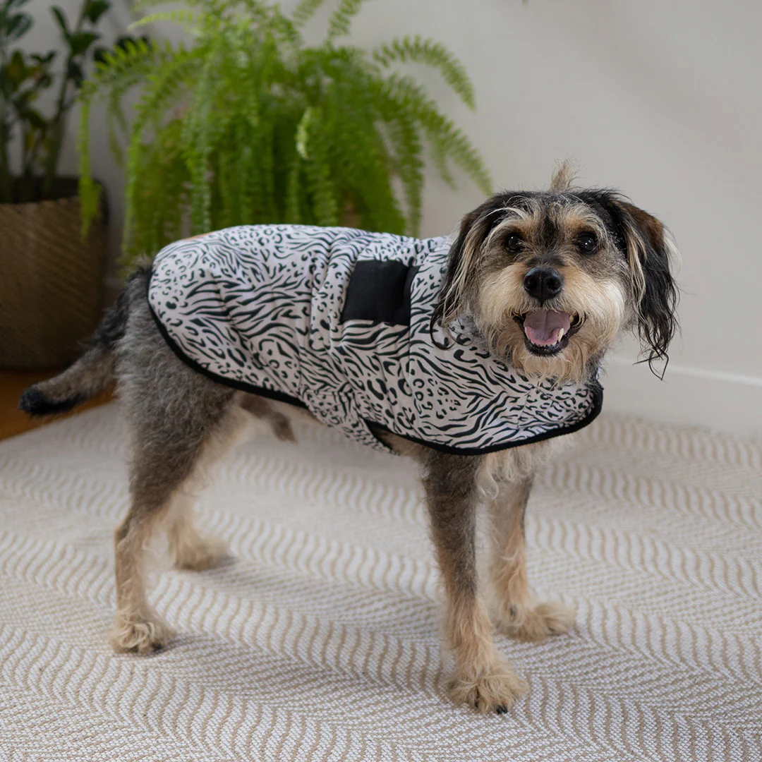 Wild Thing Soft Dog Jacket - Image 4