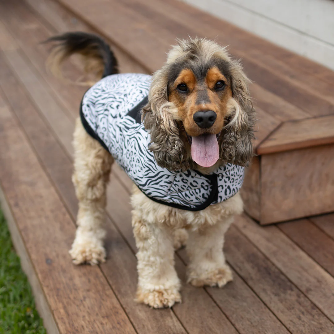 Wild Thing Soft Dog Jacket - Image 5