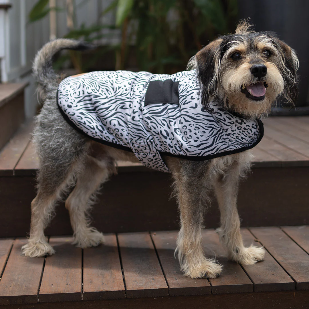 Wild Thing Soft Dog Jacket - Image 6