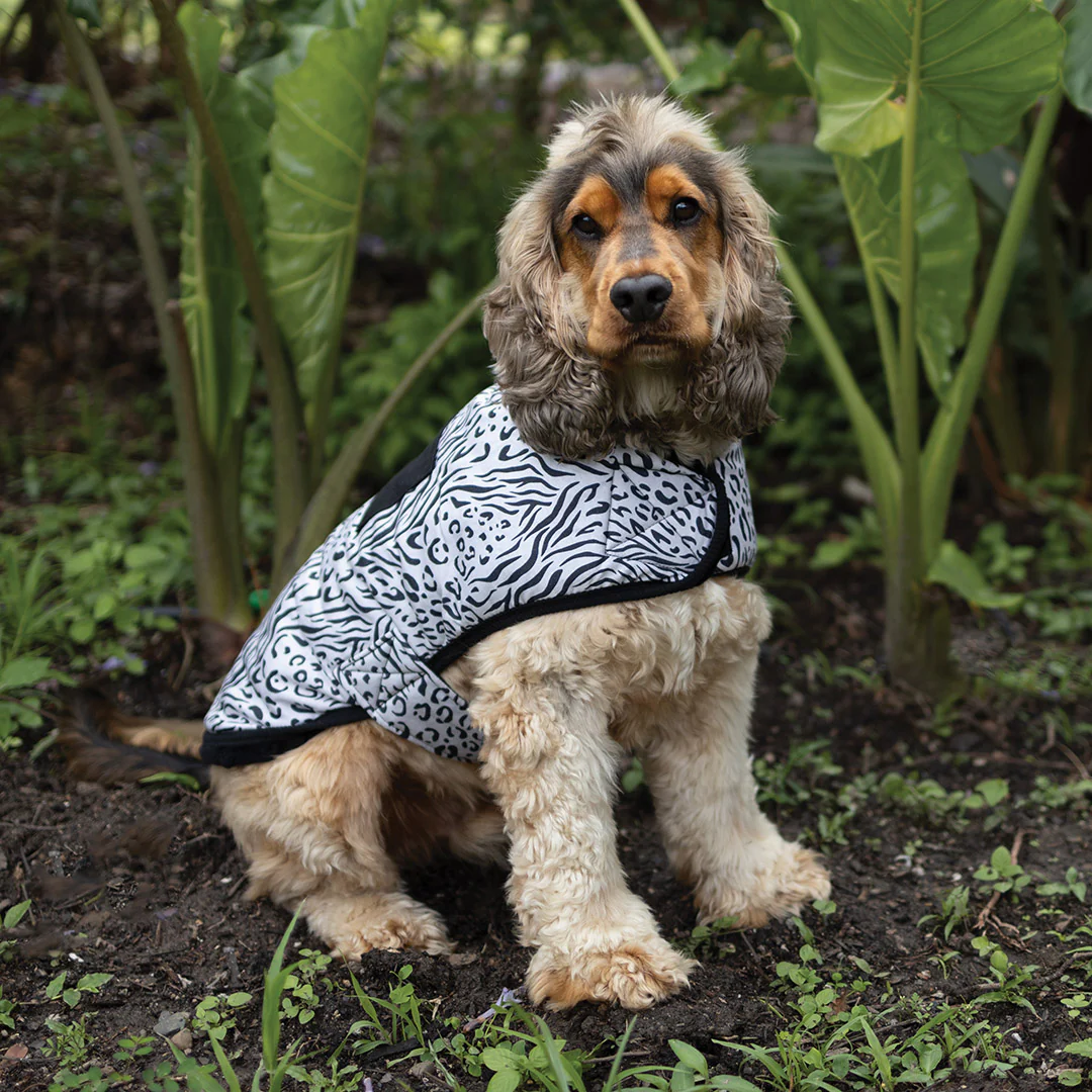 Wild Thing Soft Dog Jacket - Image 7