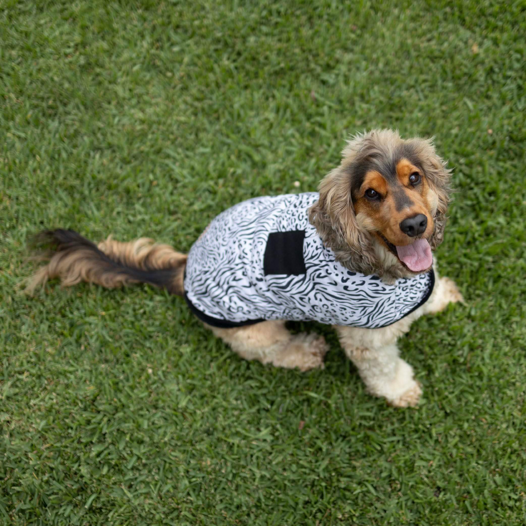 Wild Thing Soft Dog Jacket - Image 9
