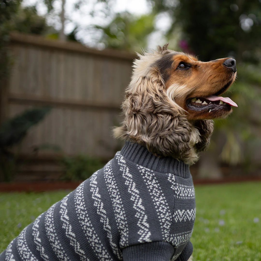 Winter Wonder Dog Jumper - Image 10