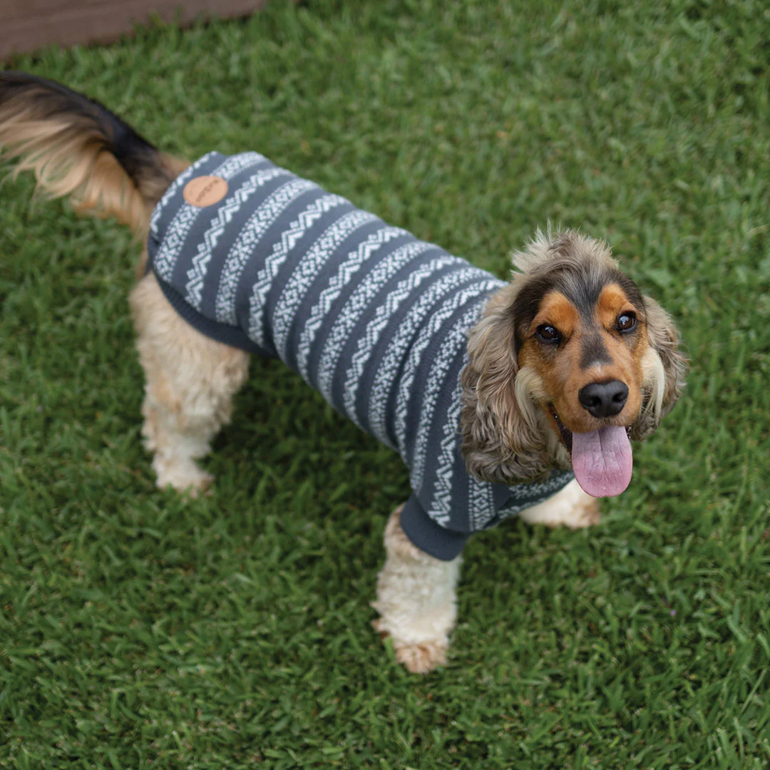 Winter Wonder Dog Jumper - Image 11