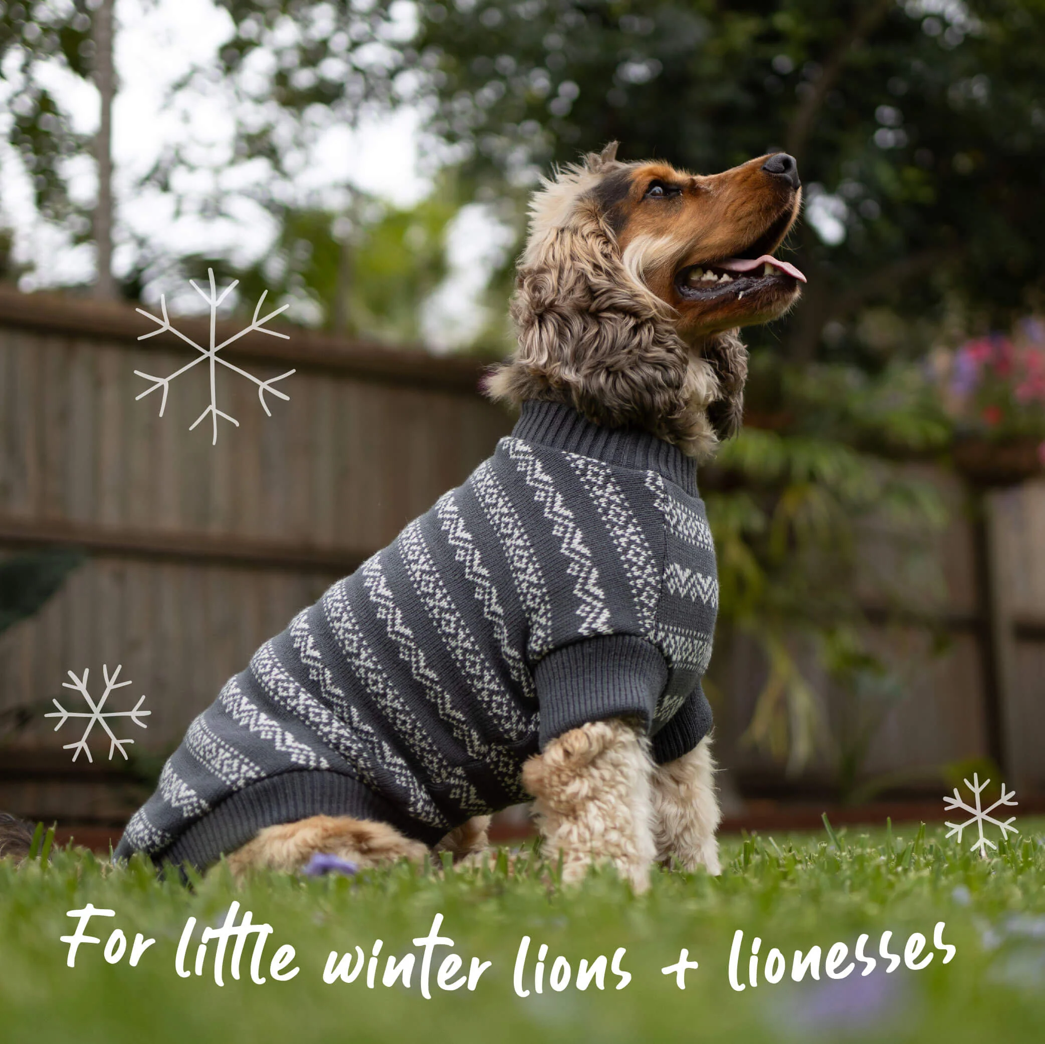Winter Wonder Dog Jumper - Image 12