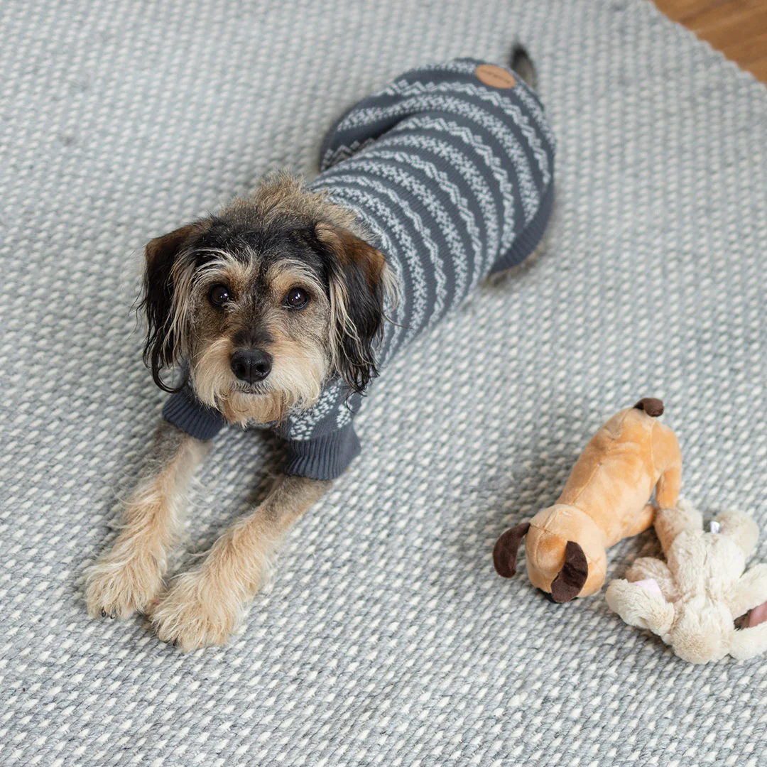 Winter Wonder Dog Jumper - Image 4
