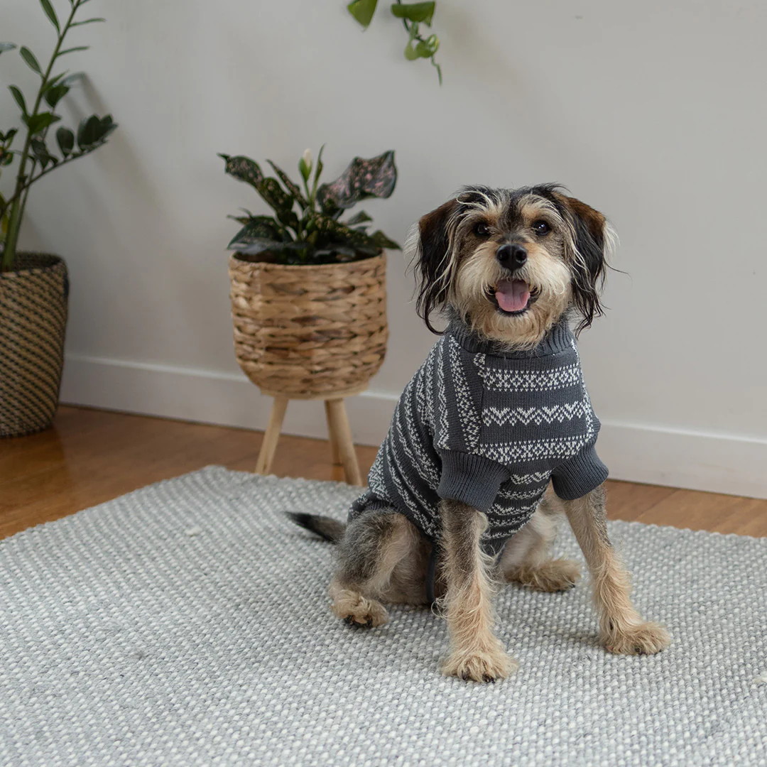 Winter Wonder Dog Jumper - Image 5