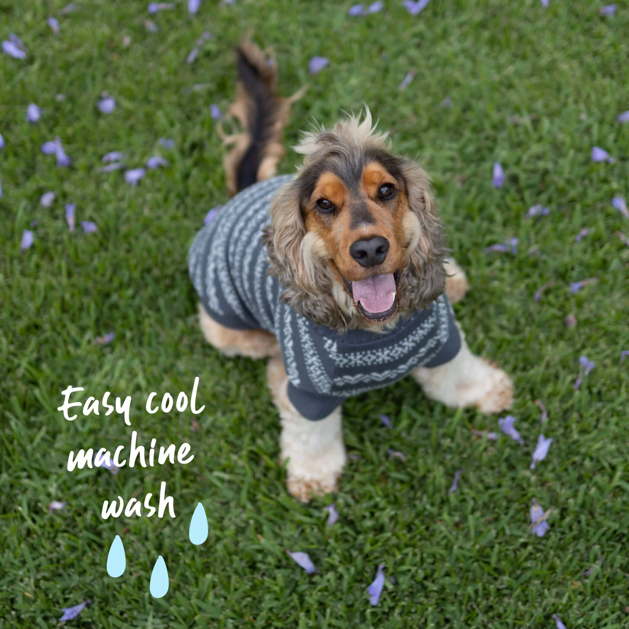 Winter Wonder Dog Jumper - Image 6
