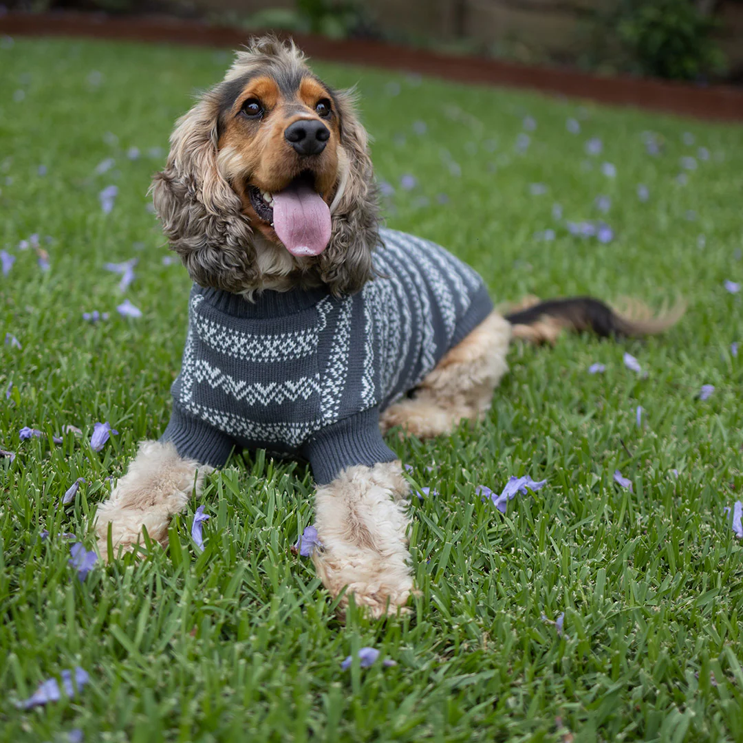 Winter Wonder Dog Jumper - Image 7