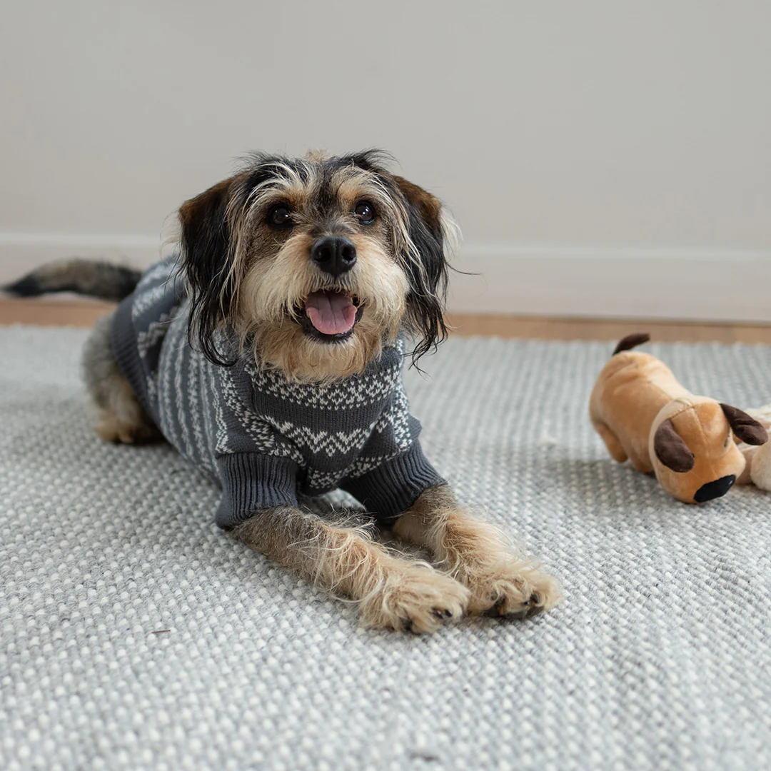 Winter Wonder Dog Jumper - Image 8