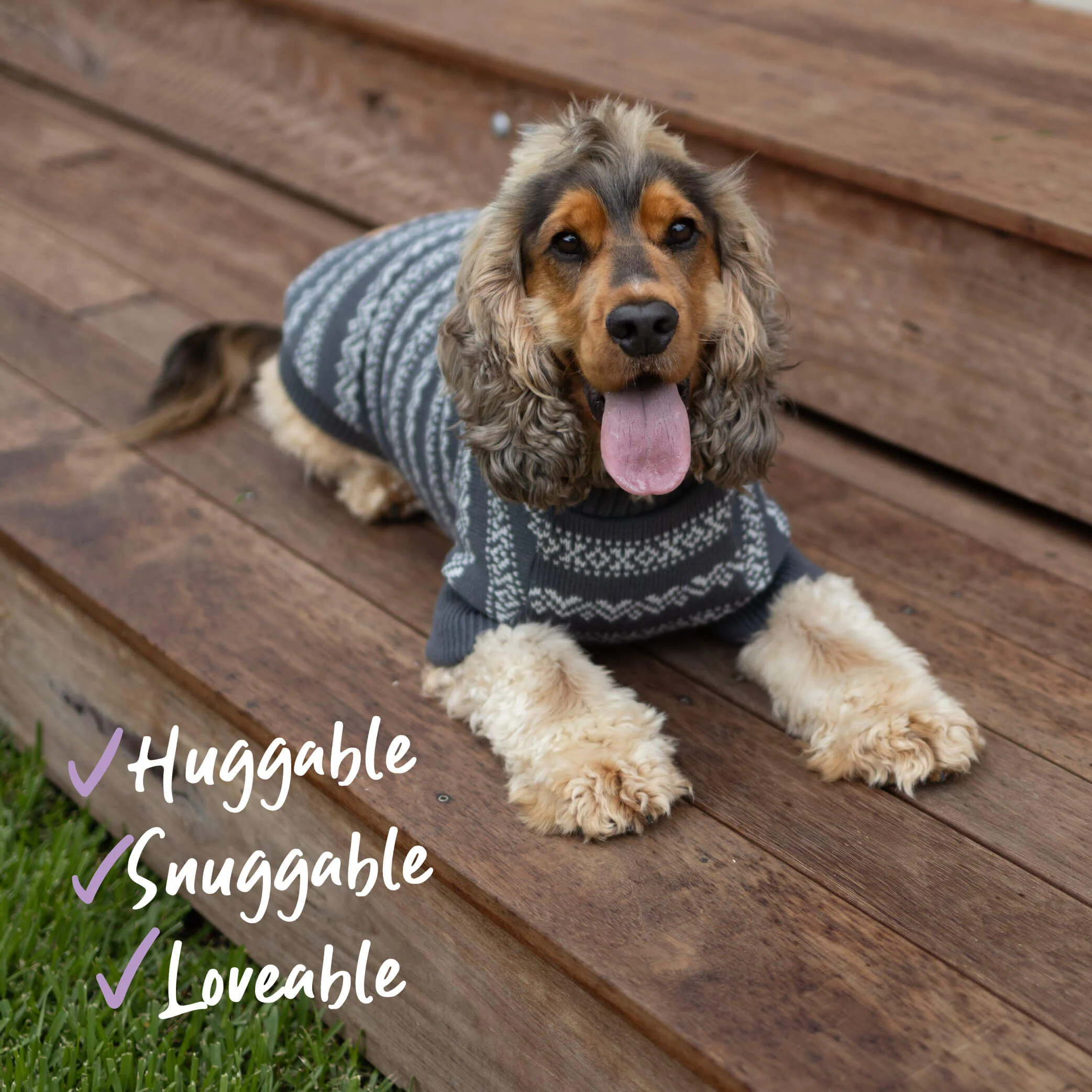 Winter Wonder Dog Jumper - Image 9