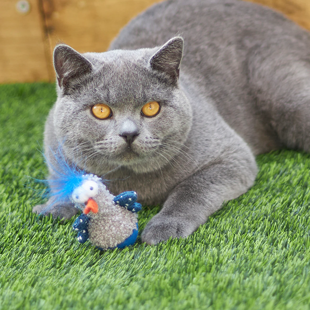 Wobble Duck cat toy - Image 3