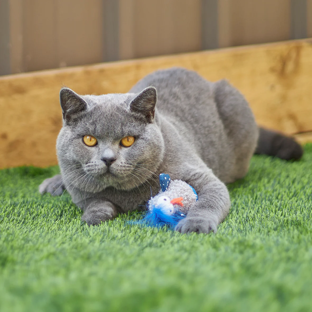 Wobble Duck cat toy - Image 5
