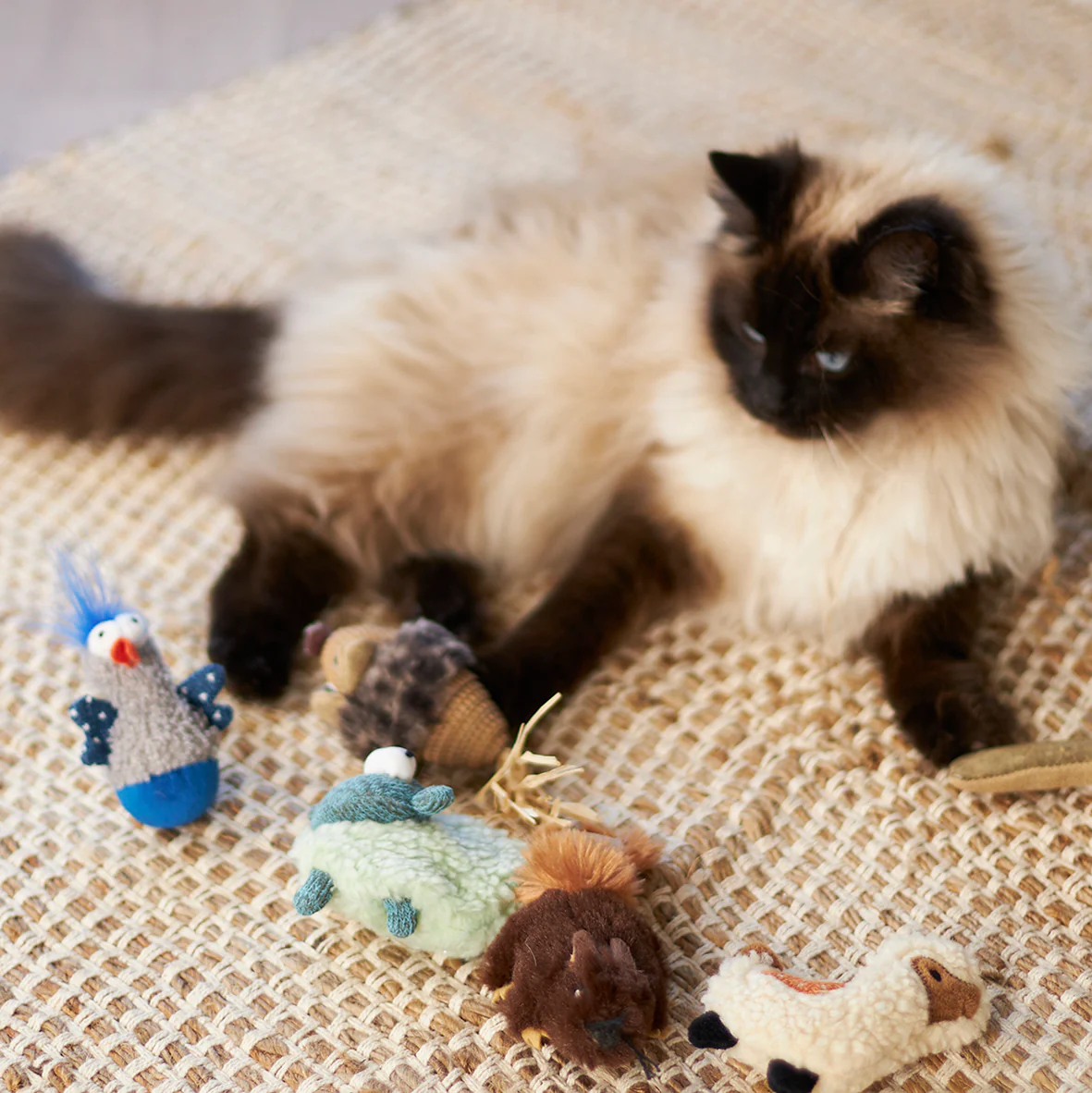 Wobble Duck cat toy - Image 6