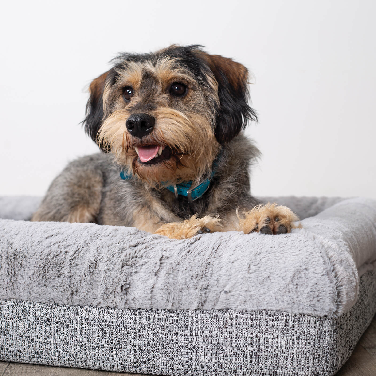 Wombat Plush Dog Bed - Image 4