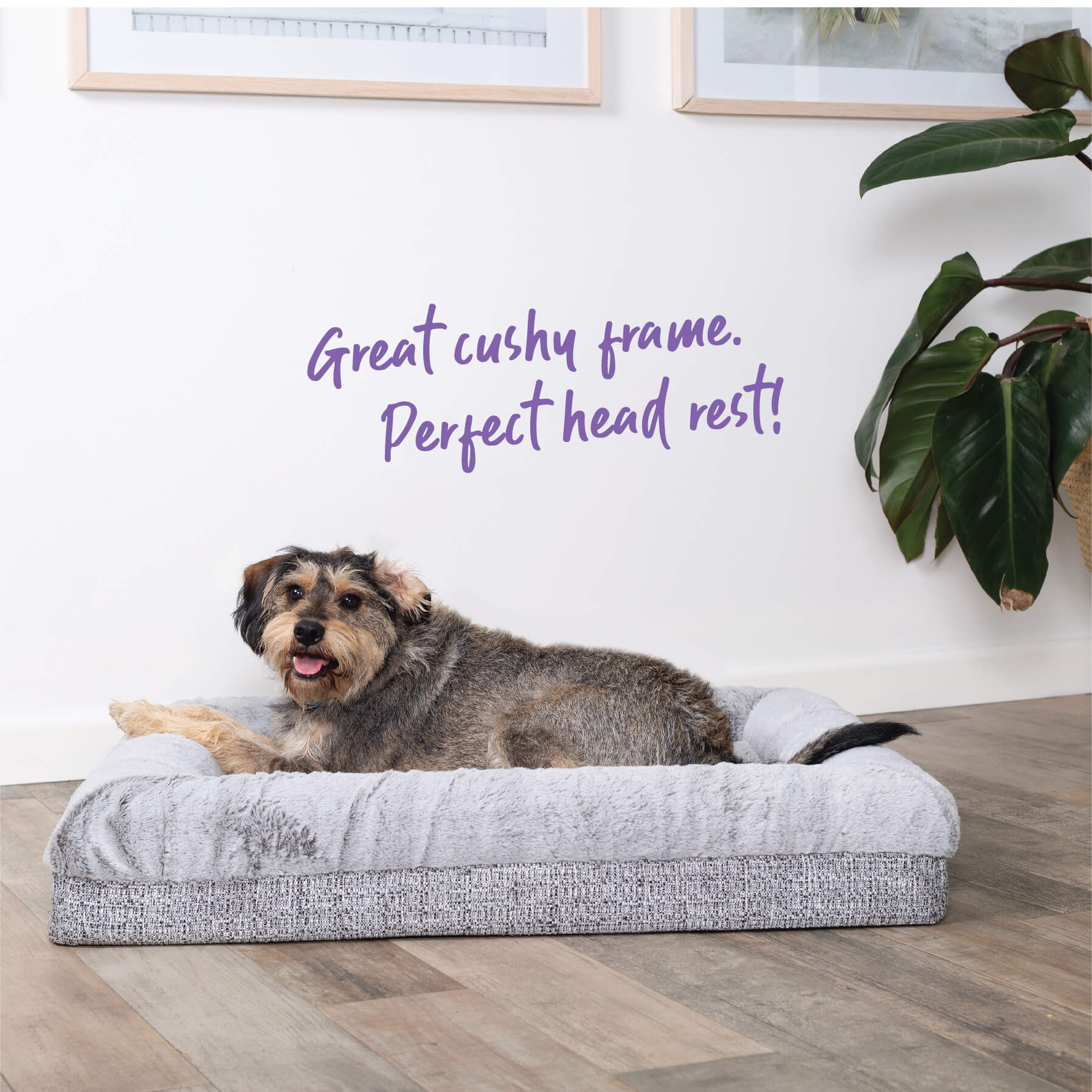 Wombat Plush Dog Bed - Image 5