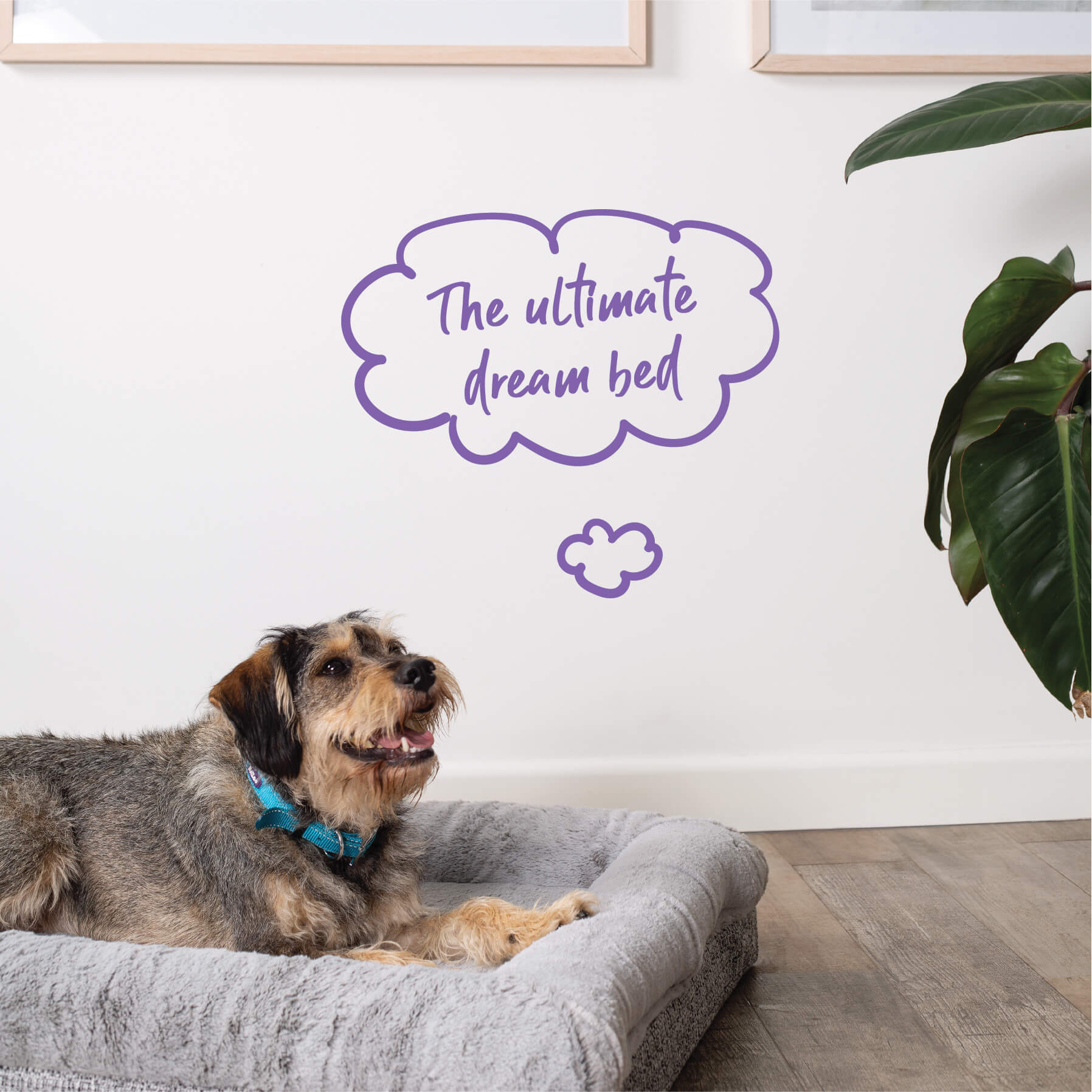 Wombat Plush Dog Bed - Image 8