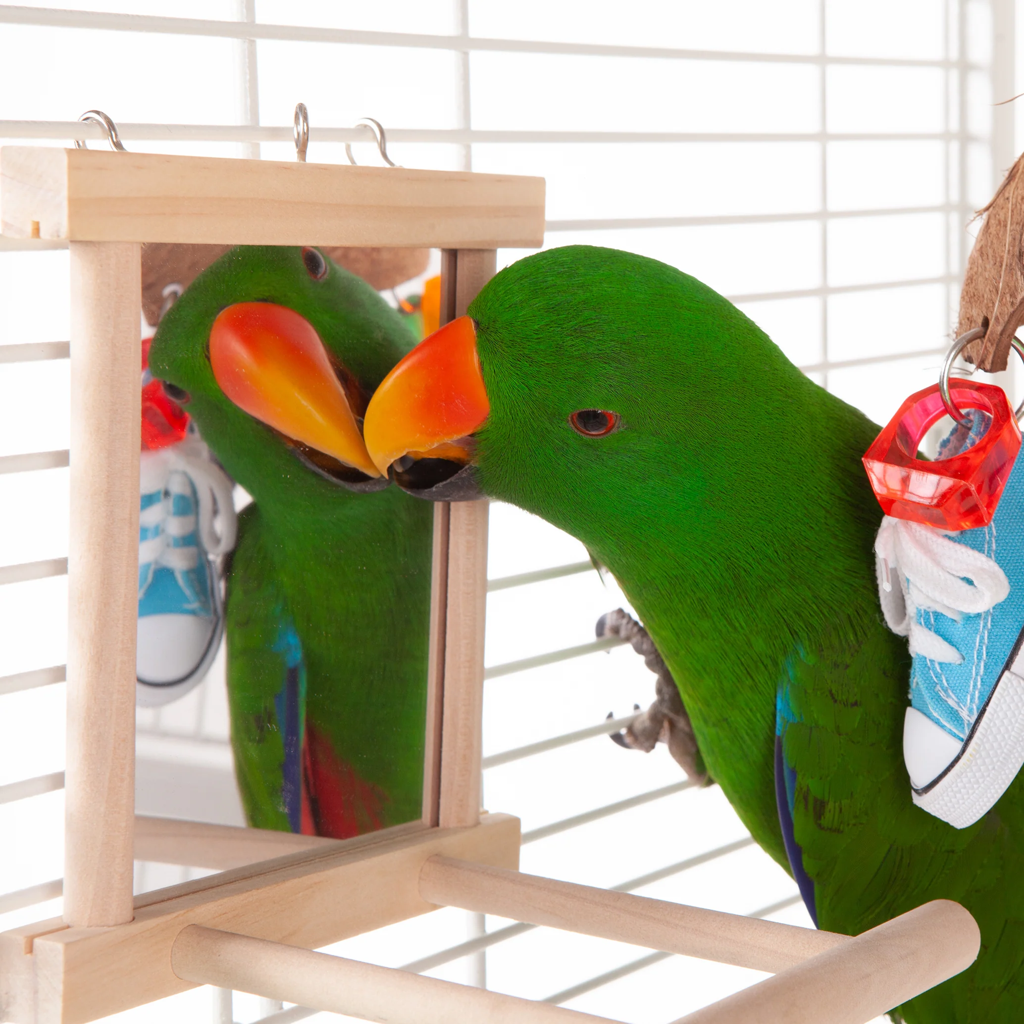 Wooden Mirror Bird Perch - Image 2