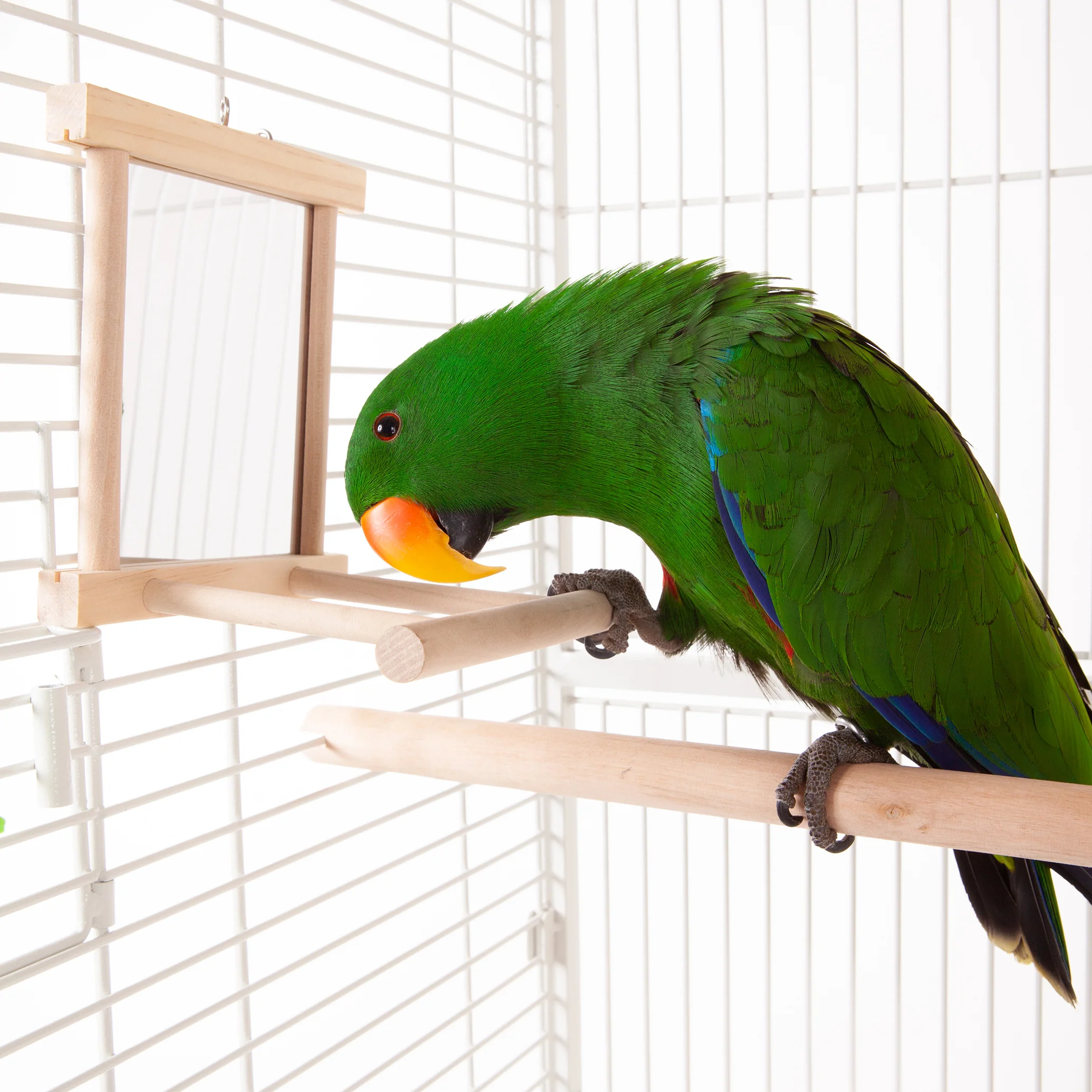 Wooden Mirror Bird Perch - Image 3