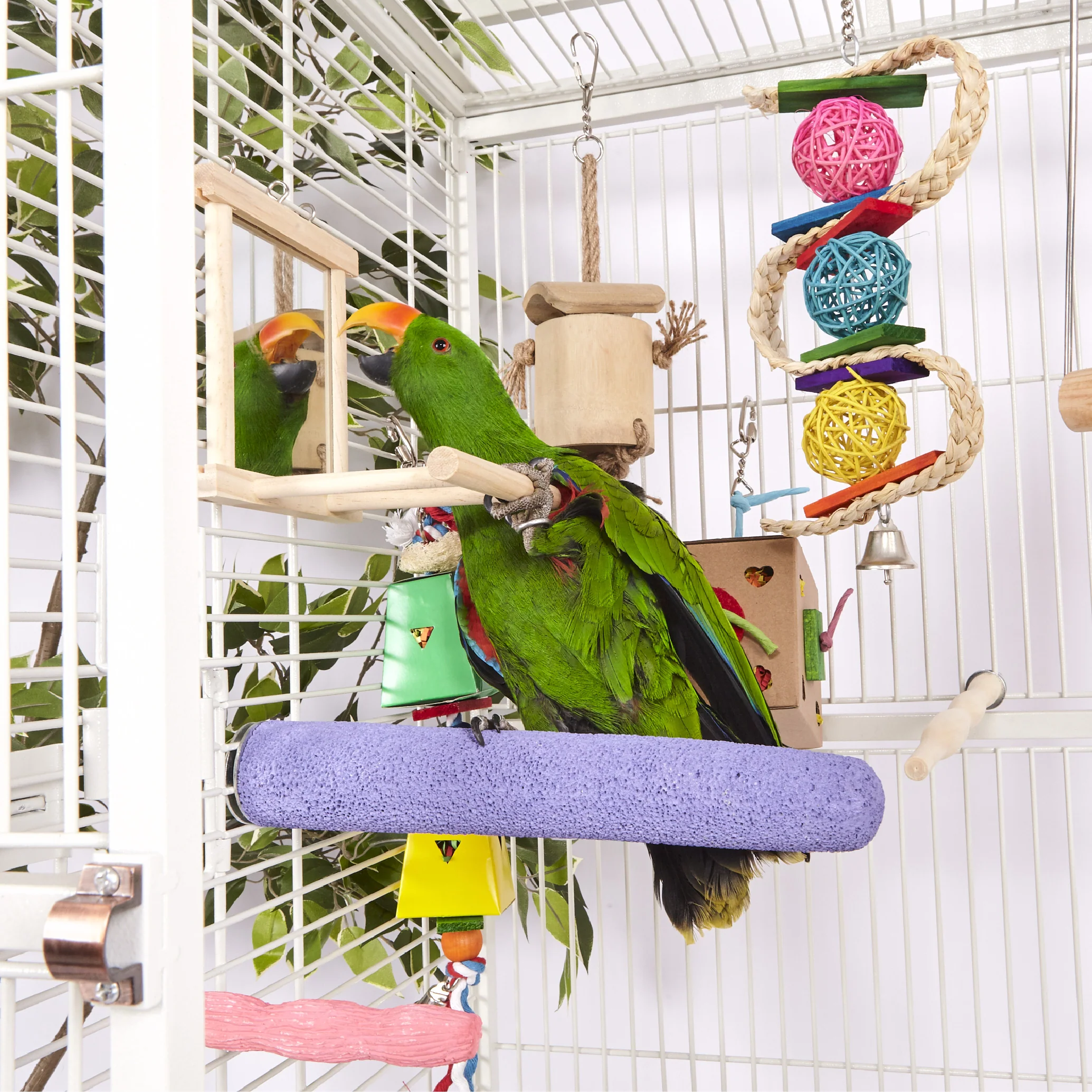 Wooden Mirror Bird Perch - Image 7